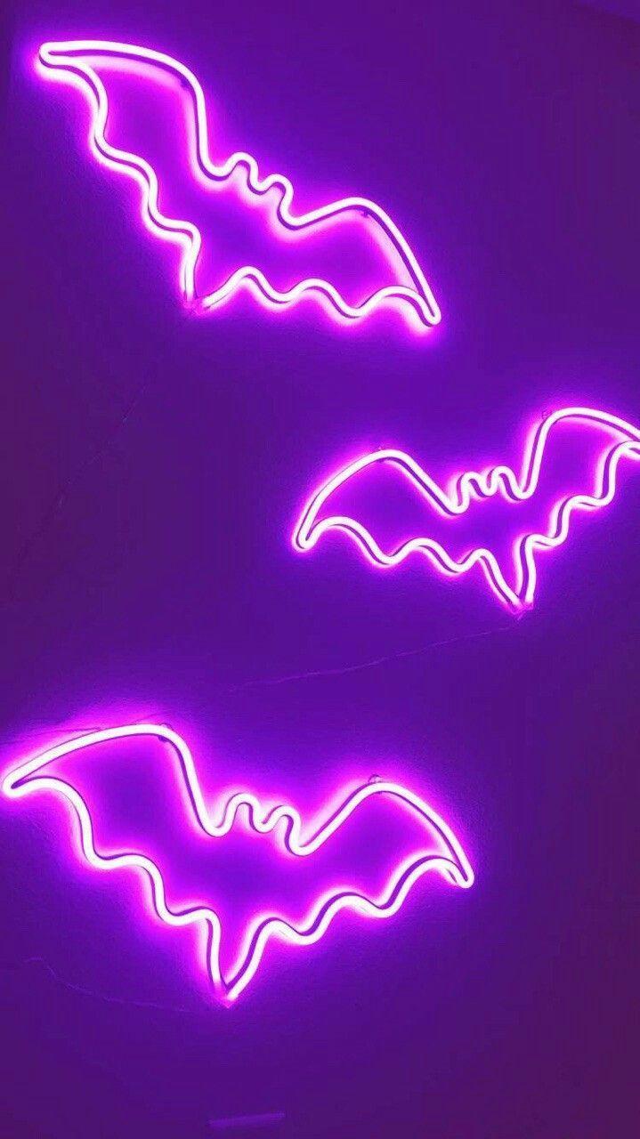 719x1280 Wallpaper