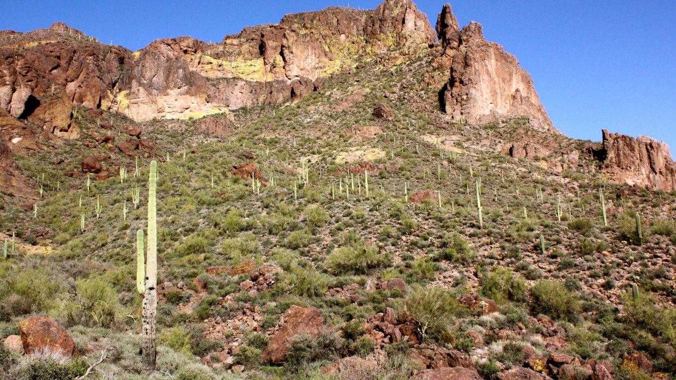 1366x768 Sonoran Desert Keith