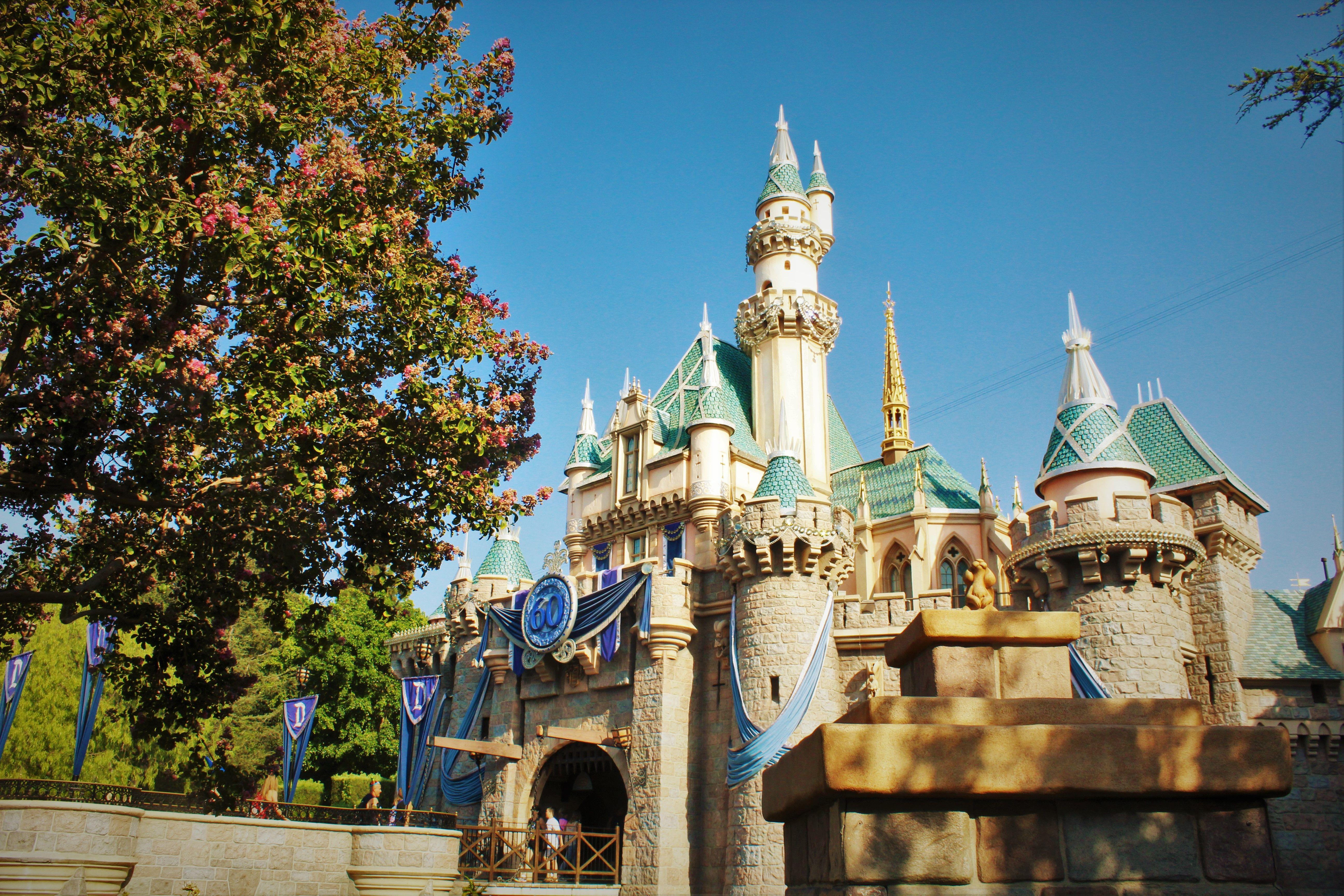 5184x3456 Wallpaper Wednesdays: Diamond Anniversary Castle Healthy Mouse