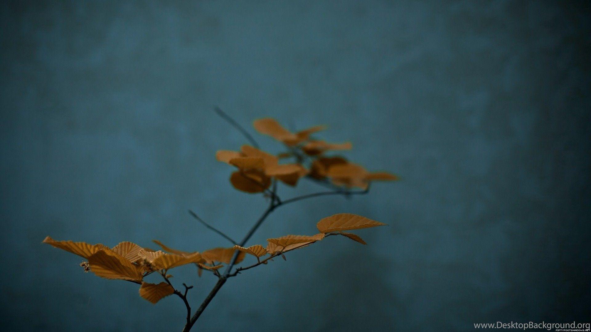 1920x1080 Zen Nature Photography Wallpaper 1920x1080 Wallpaper Download. Desktop Background