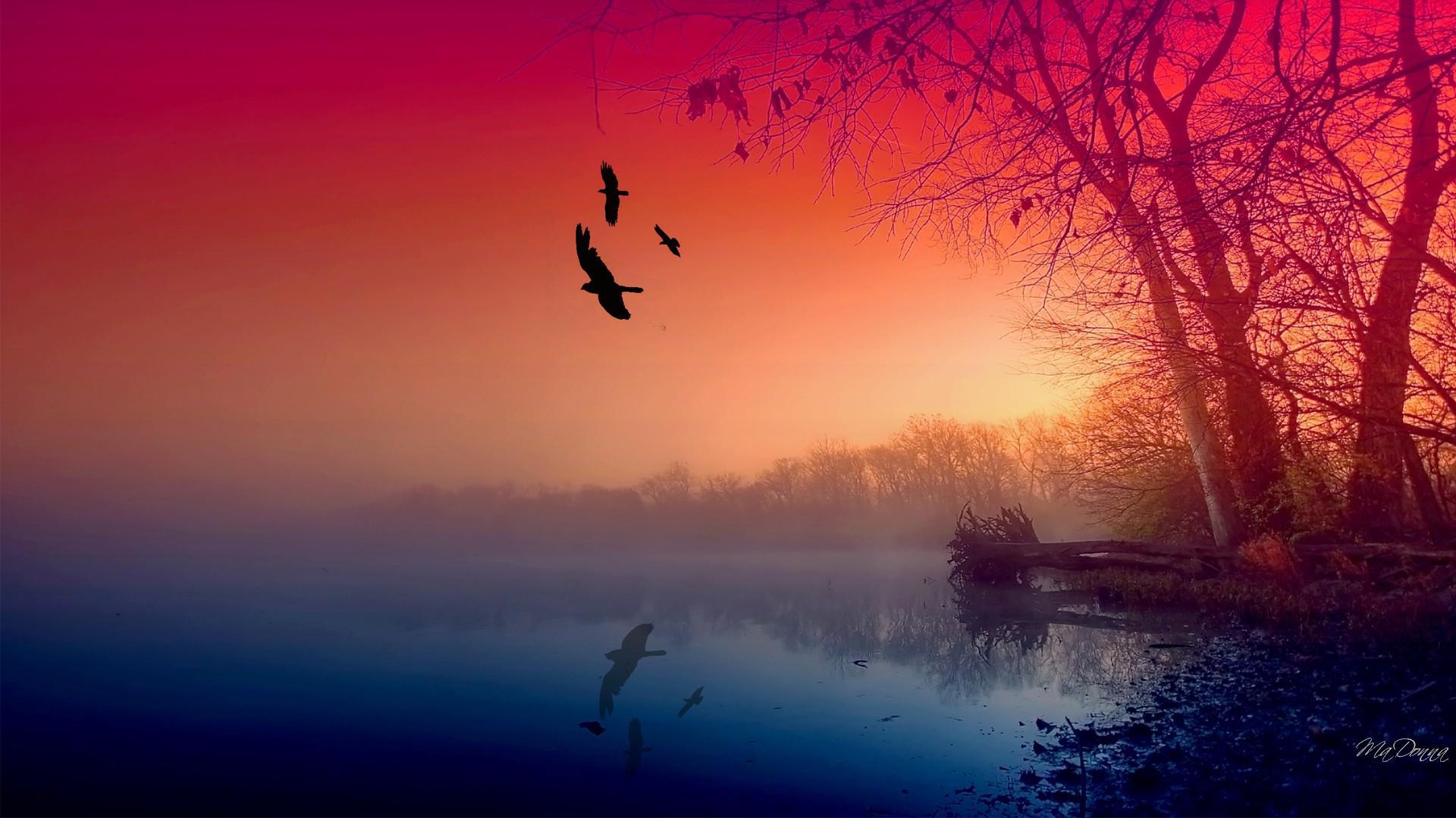 1920x1080 Misty Wallpaper