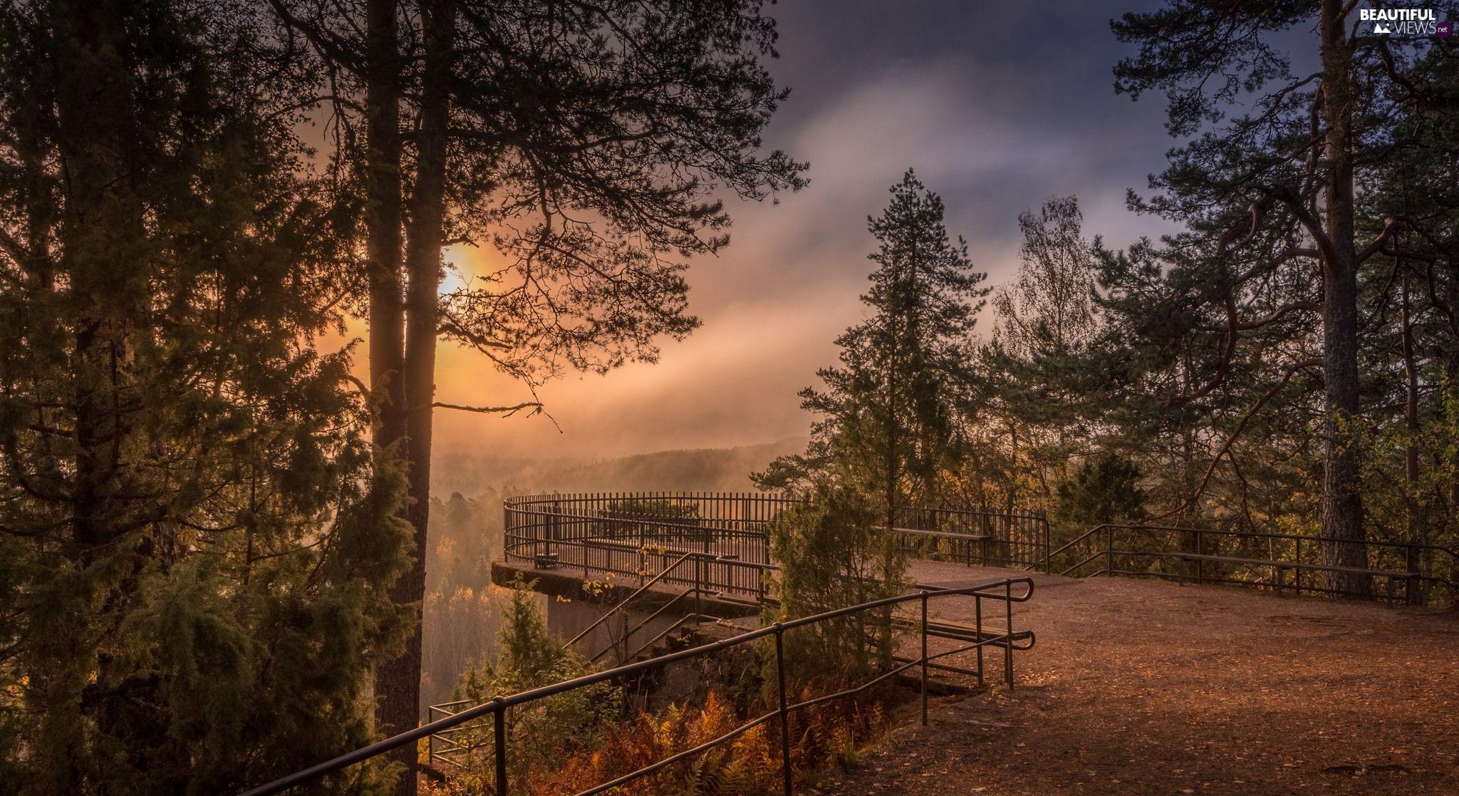 2048x1117 Aulanko Nature Reserve, Finland, autumn, Sunrise, viewes, barriers, Viewpoint, City H?meenlinna, H?me Province, Fog, trees views wallpaper: 2048x1117