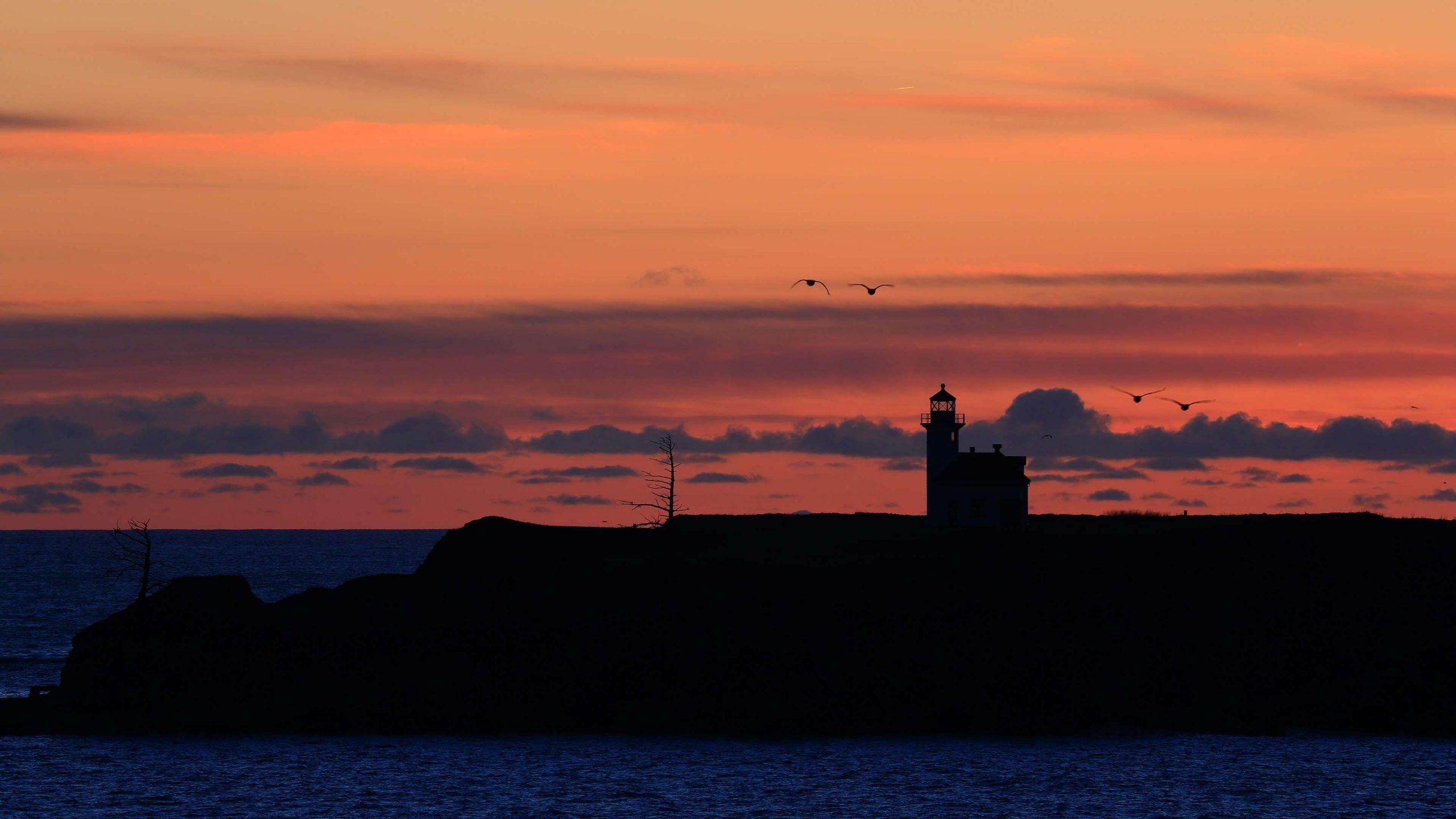 2560x1440 Sunset Lighthouse Ocean Seagulls 4K Ultra HD Desktop Wallpaper