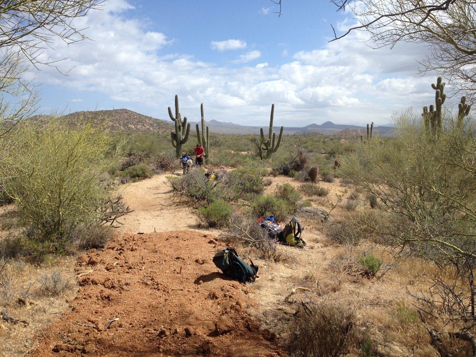 1600x1200 Desert Soils Blog: A busy summer of Sonoran Desert research