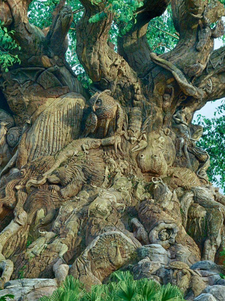 768x1024 Free download The Animal Tree Computer Wallpaper Desktop Background [2048x1356] for your Desktop, Mobile & Tablet. Explore Tree Desktop Wallpaper. Palm Tree Desktop Wallpaper