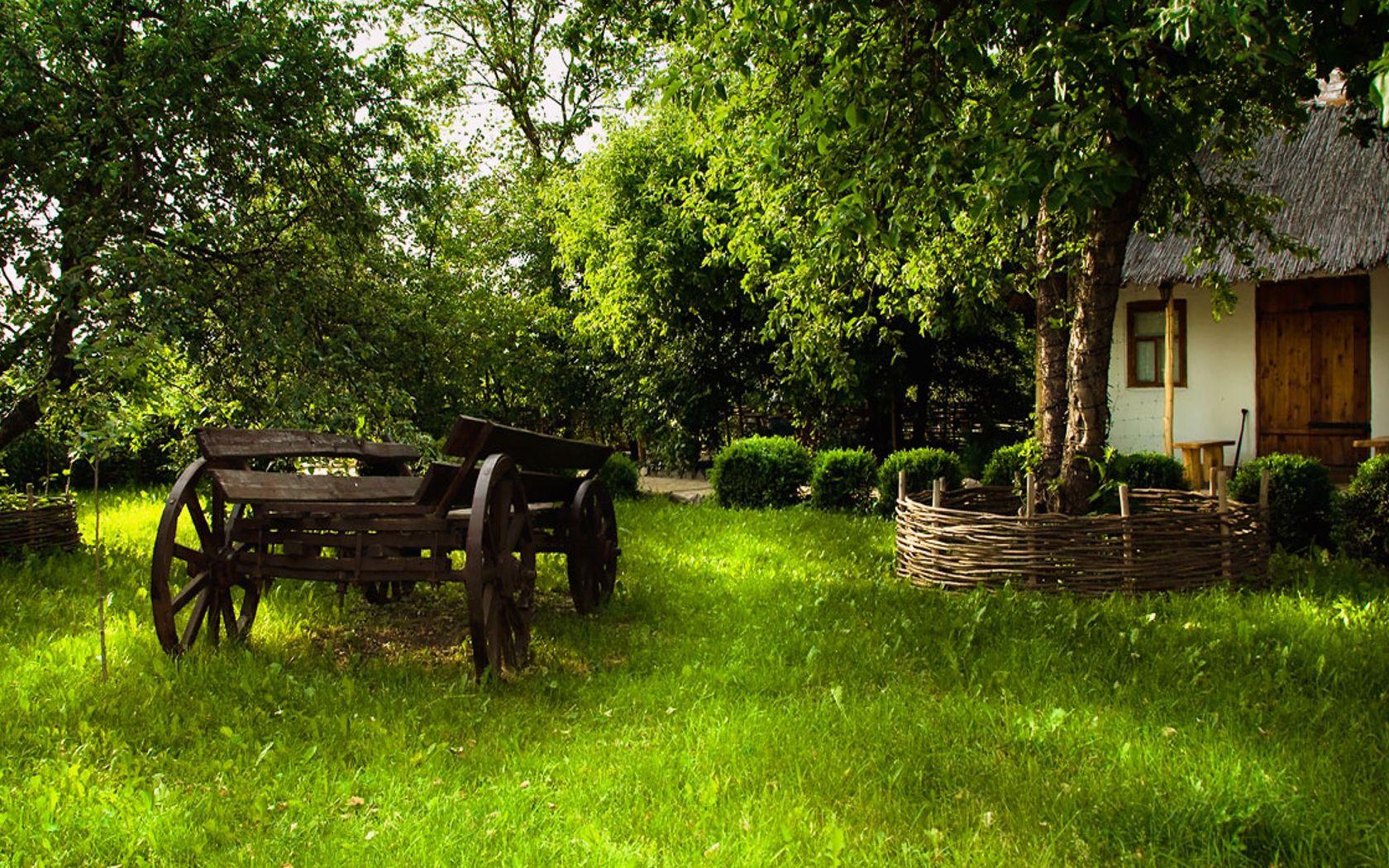 1680x1050 Tree Computer Wallpaper, Desktop Background.62 MB