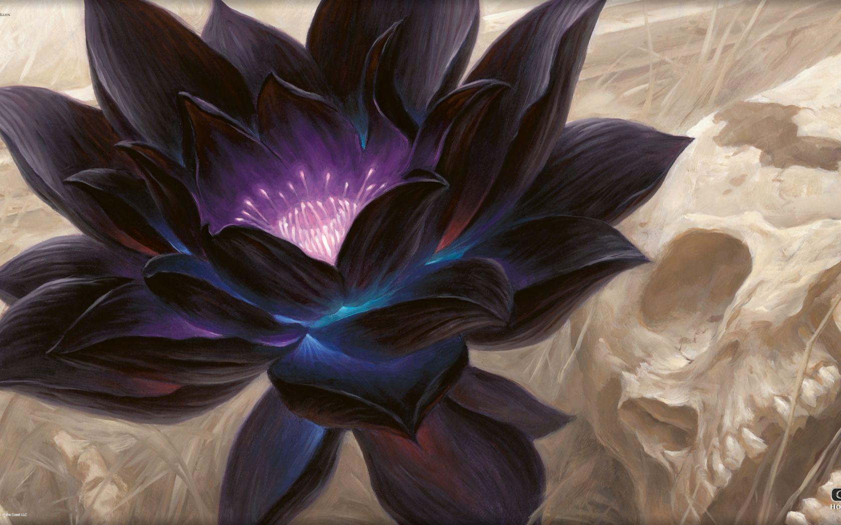 1680x1050 Free download Pics Photo Magic The Gathering HD Wallpaper Desktop For [1920x1080] for your Desktop, Mobile & Tablet. Explore Mtg Desktop Background. MTG Wallpaper of the Week, MTG Wallpaper