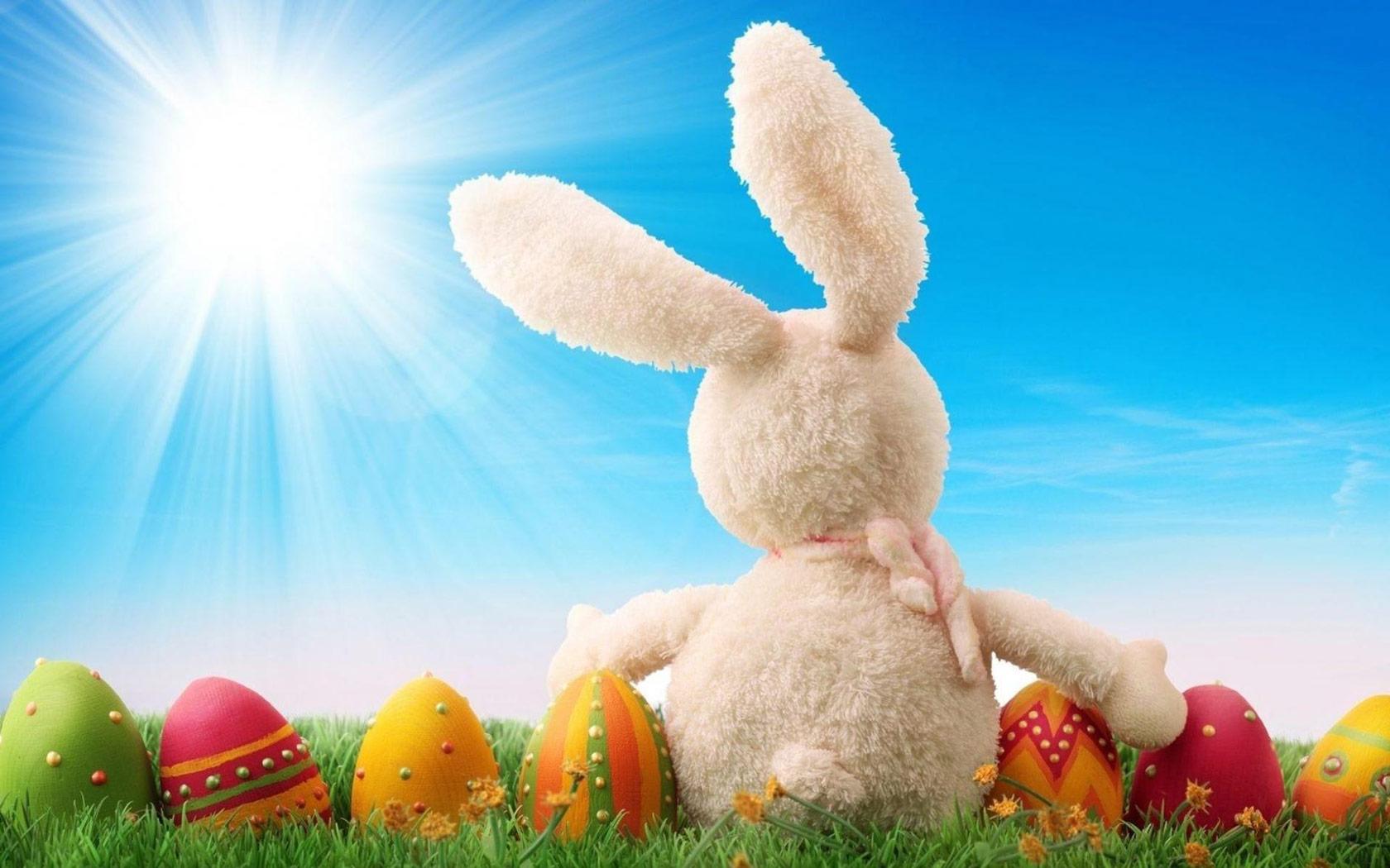 1680x1050 Free Cute Easter Rabbit, Computer Desktop Wallpaper, Picture, Image