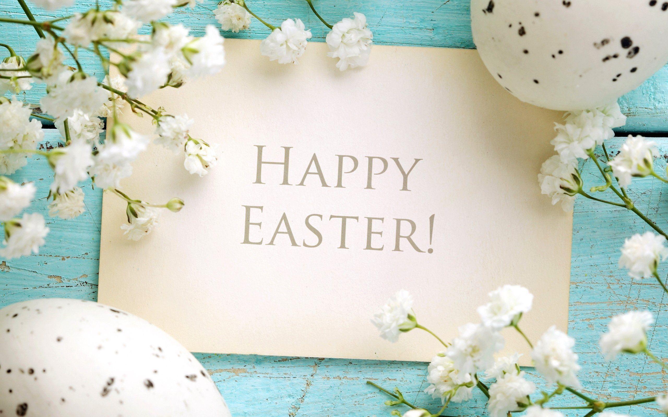 2560x1600 Easter Desktop Wallpaper
