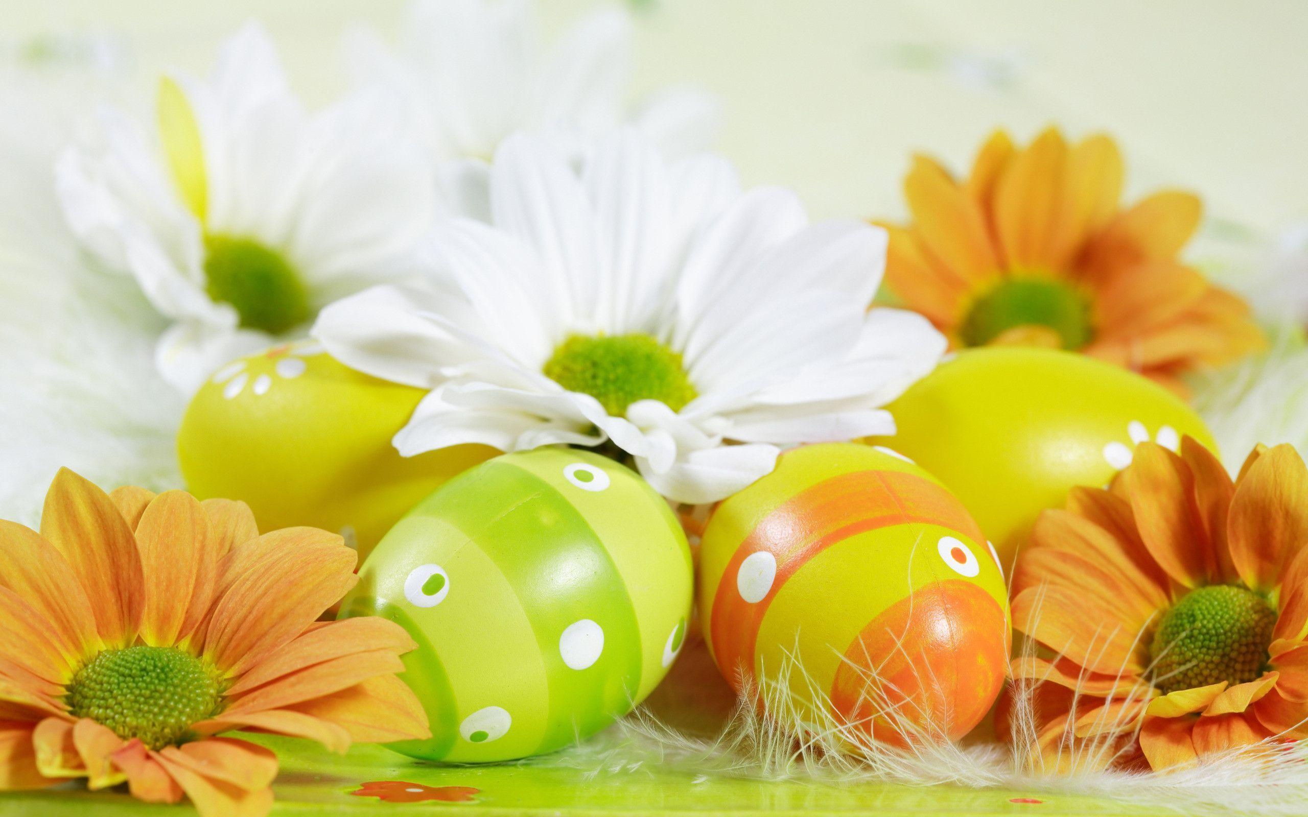 2560x1600 Easter Wallpaper Background