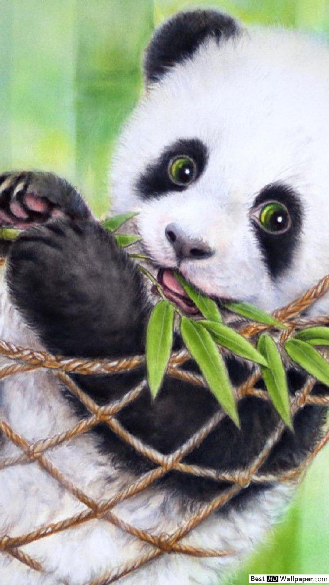 1080x1920 Baby Panda Wallpaper
