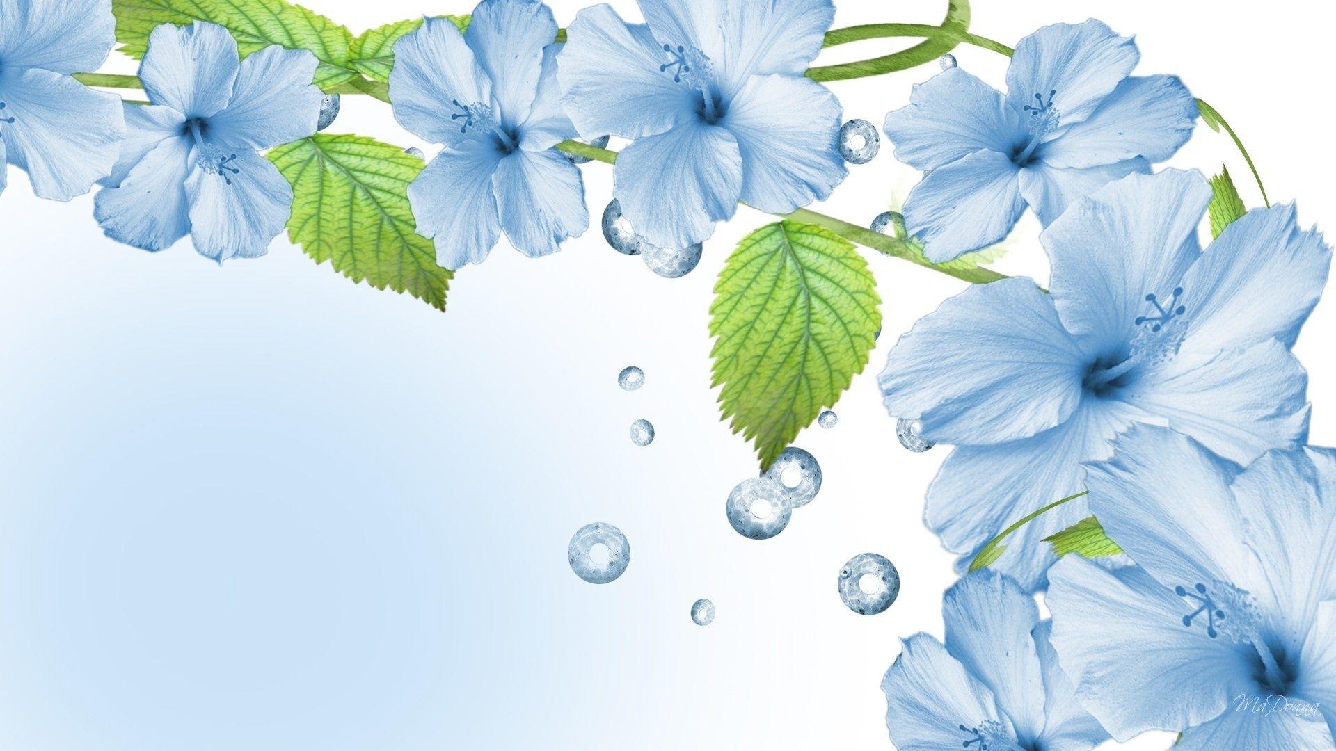 1920x1080 Blue Flowers wallpaperx1080