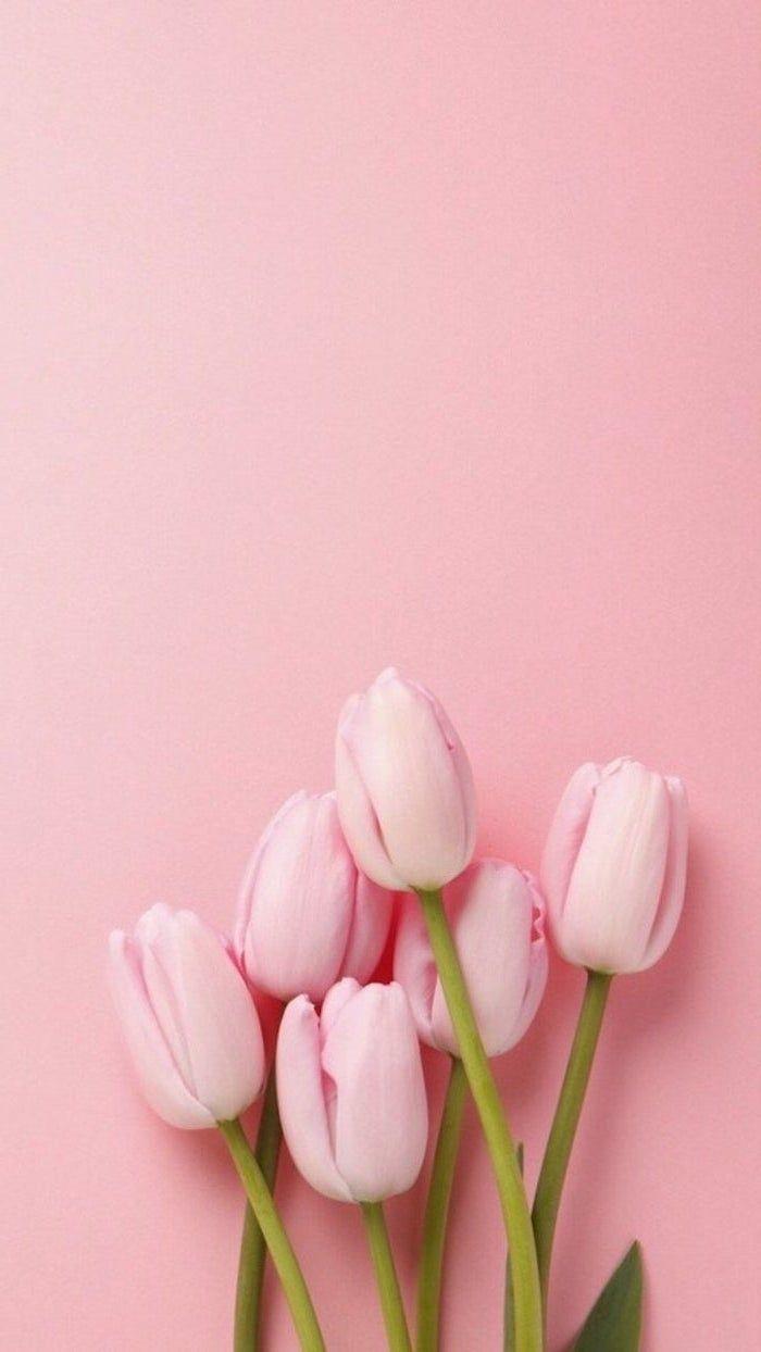 700x1244 Pink Tulips Free Spring Wallpaper Pink Background Phone Wallpaper. Spring Wallpaper, Pink Wallpaper Iphone, Flower Wallpaper