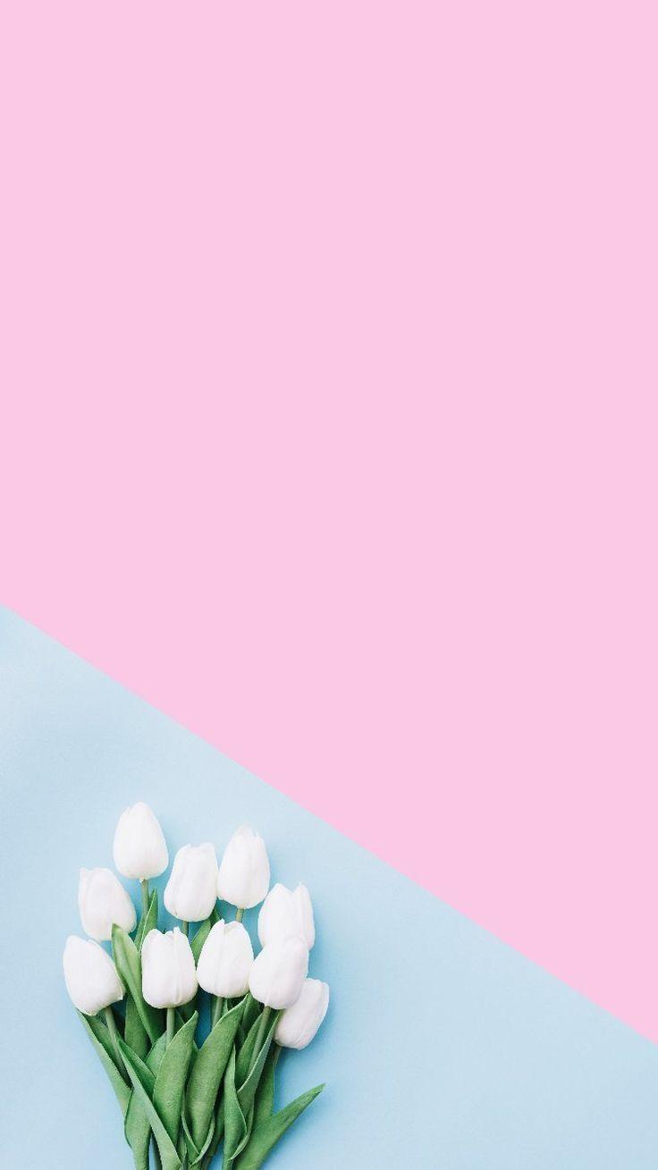 736x1309 Work. Ideas de fondos de pantalla, Fondos de pantalla de iphone, Fondos de pantalla tulipanes