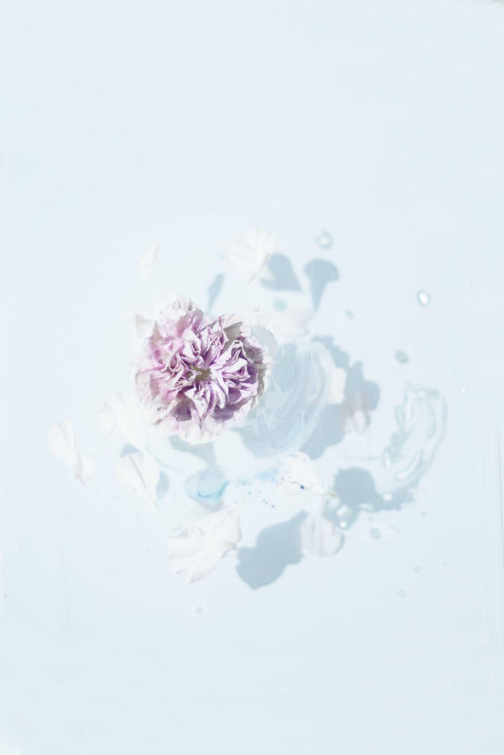 1000x1498 Watercolor Flower Picture. Download Free Image