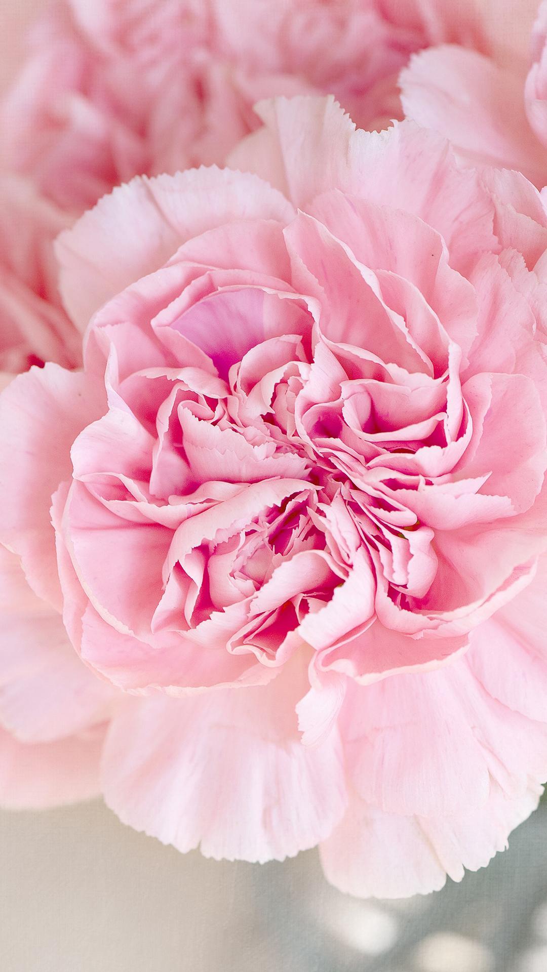 1080x1920 Pastel Floral Wallpaper Phone
