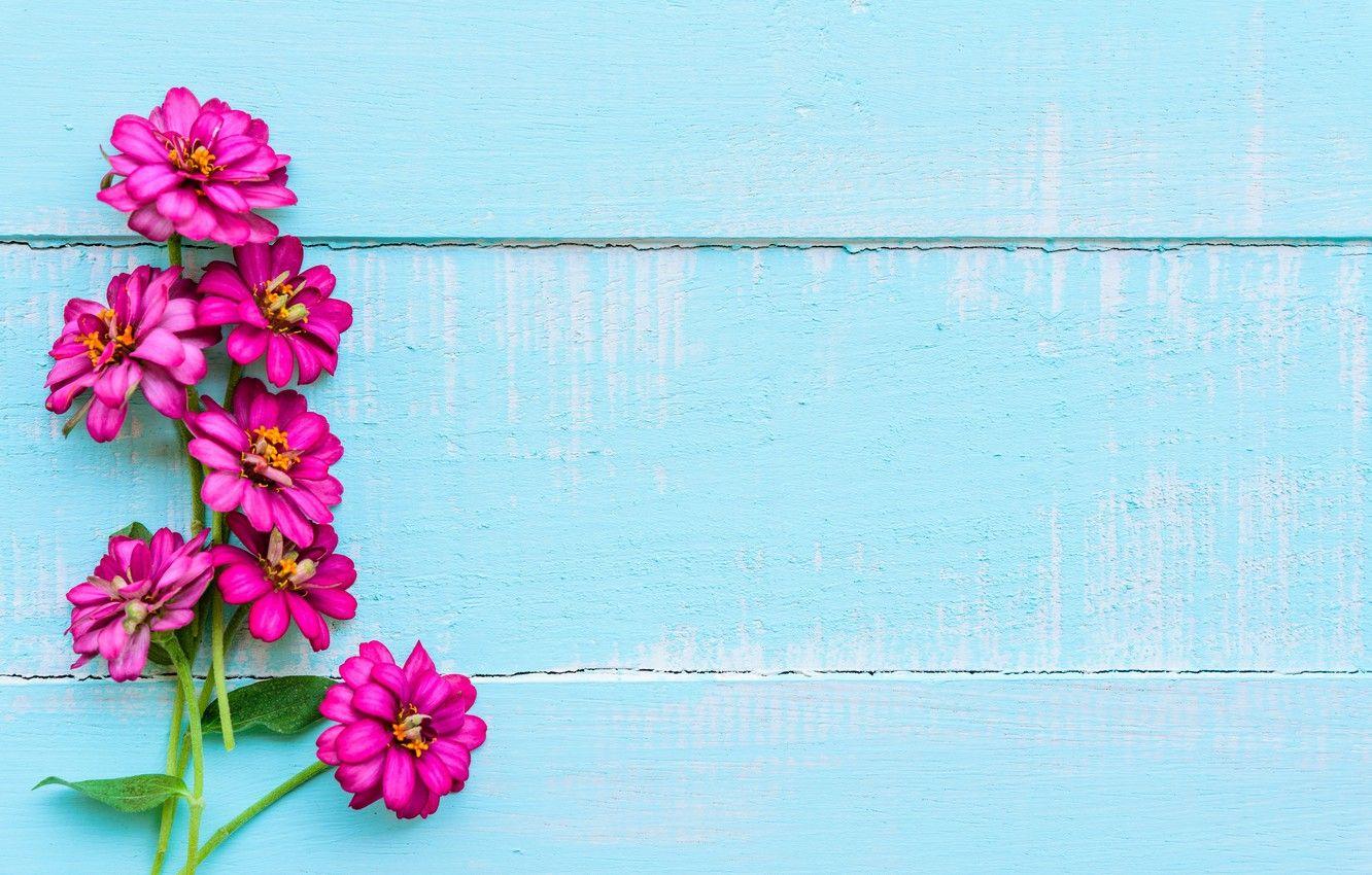 1332x850 Wallpaper flowers, background, wood, blue, flowers, purple image for desktop, section цветы
