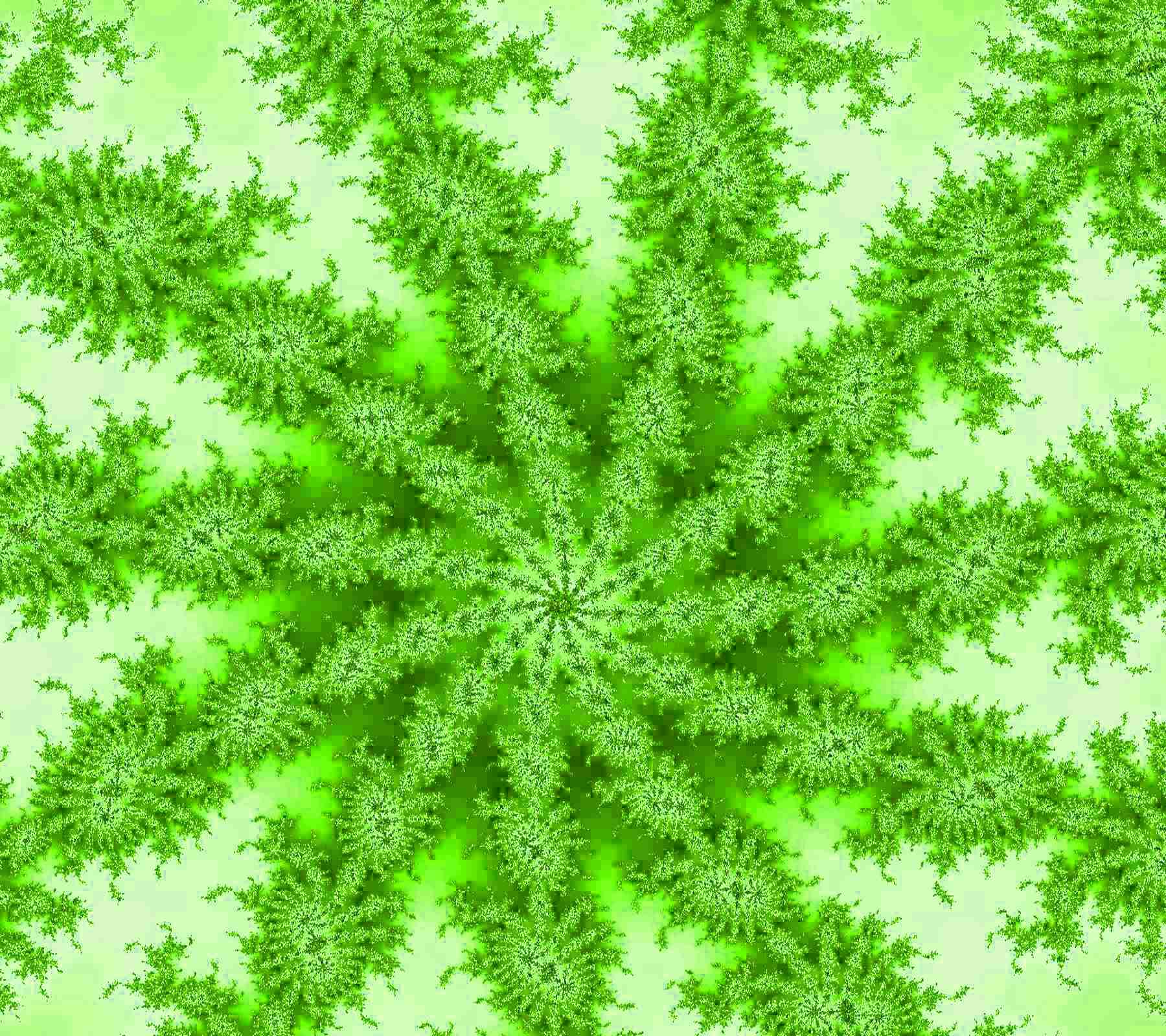 1800x1600 Lime Green Background