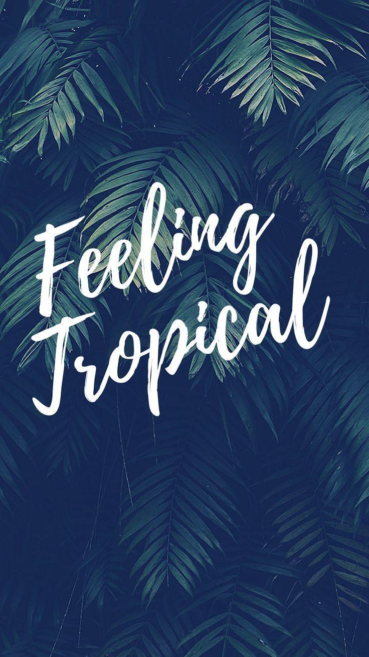 736x1308 Summer Lovin' Quotes iPhone Wallpaper Collection. Preppy Wallpaper. Wallpaper iphone summer, Cute summer wallpaper, Preppy wallpaper