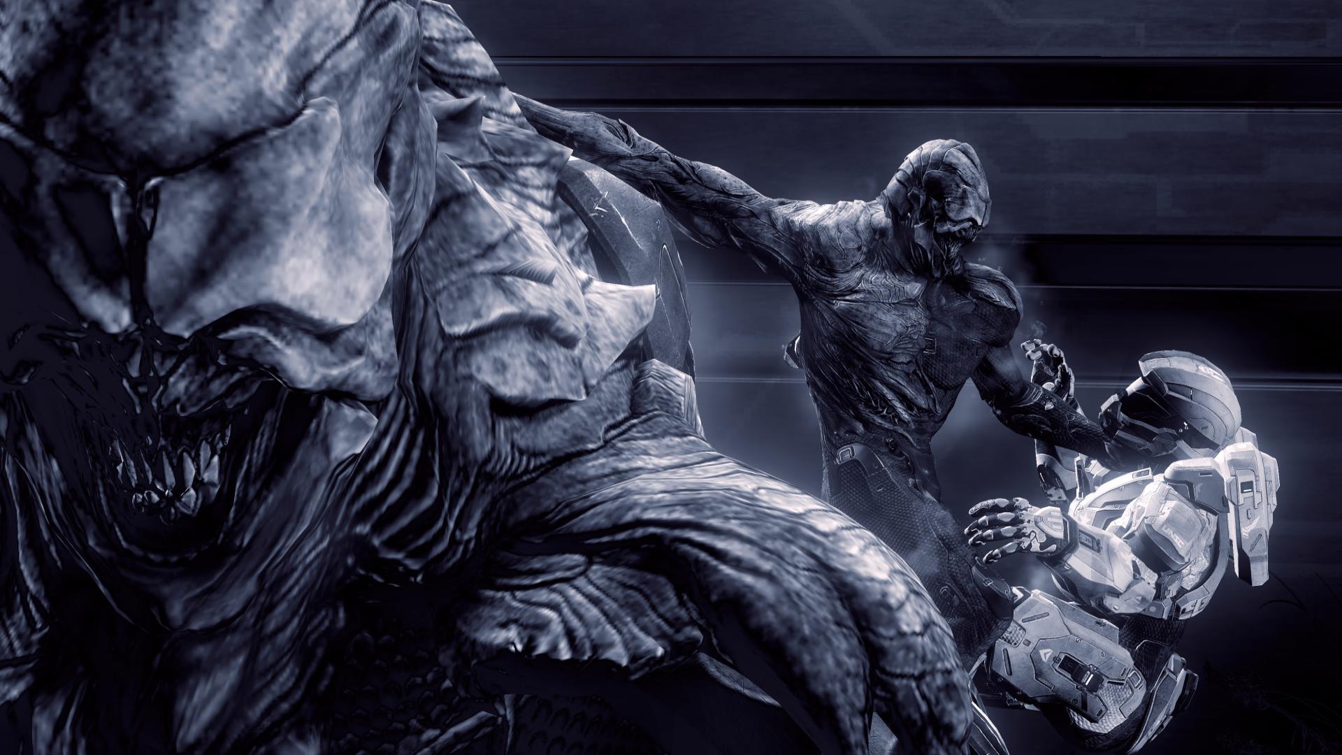 1920x1080 Waypoint's Halo Bulletins