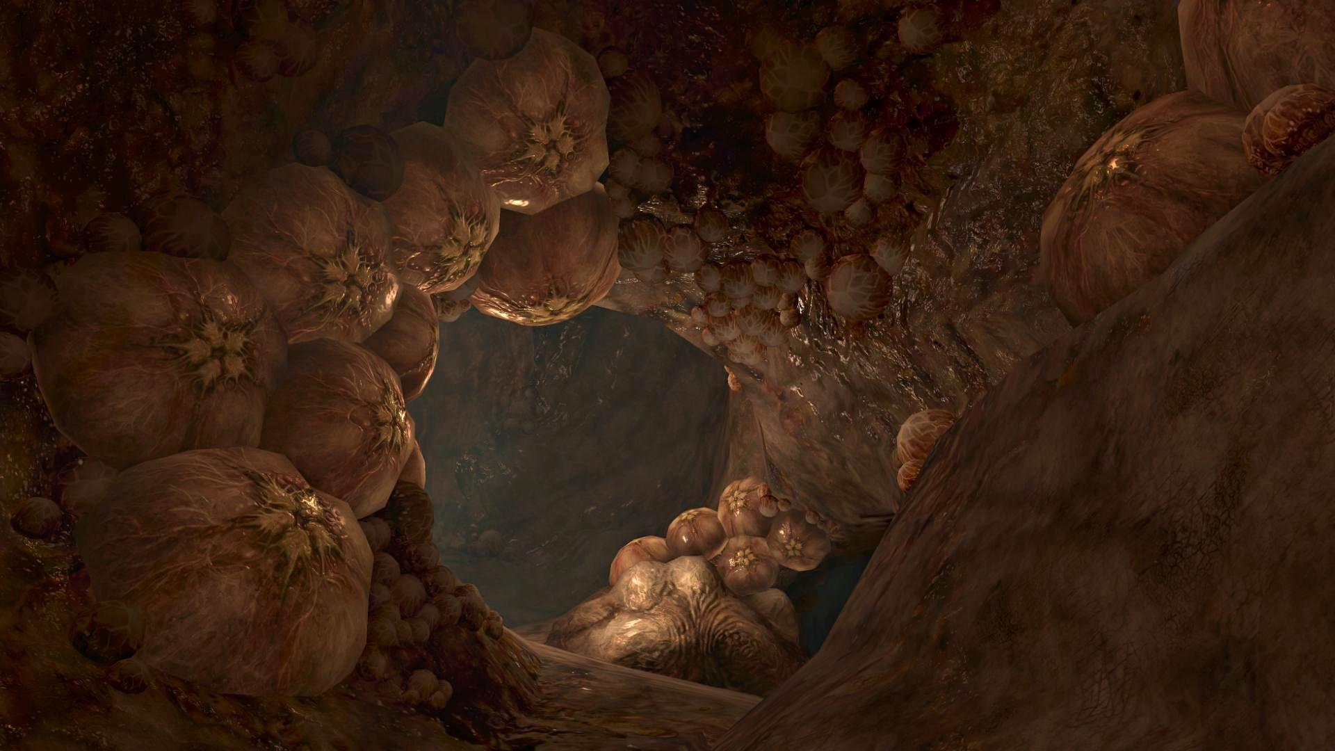 1920x1080 Do HURAGOK share similar origin with FLOOD?. Halo Universe. Forums