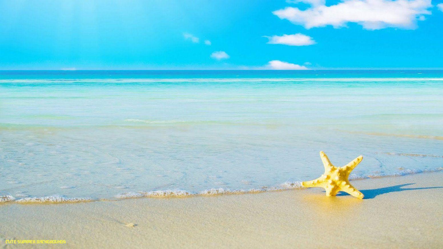 1552x873 Cute 2020 Summer Wallpaper