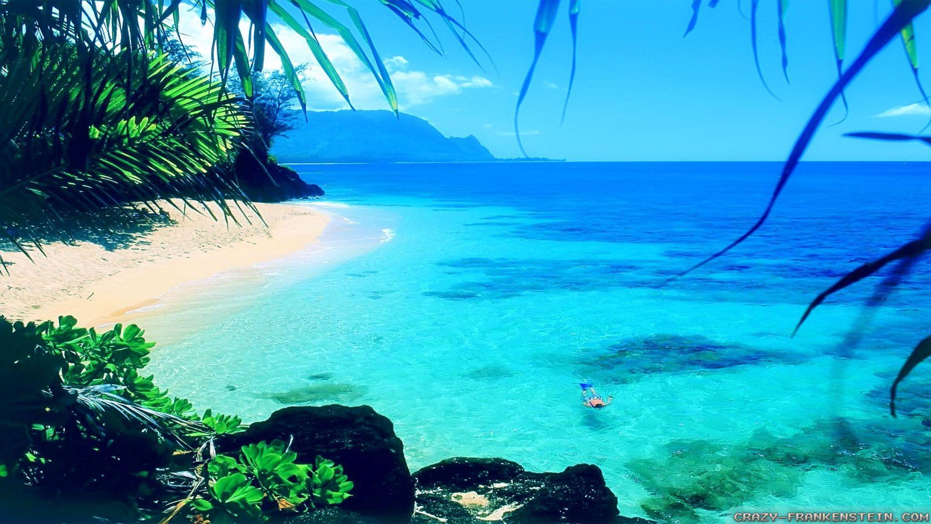 1920x1080 Wallpaper for Desktop Summer