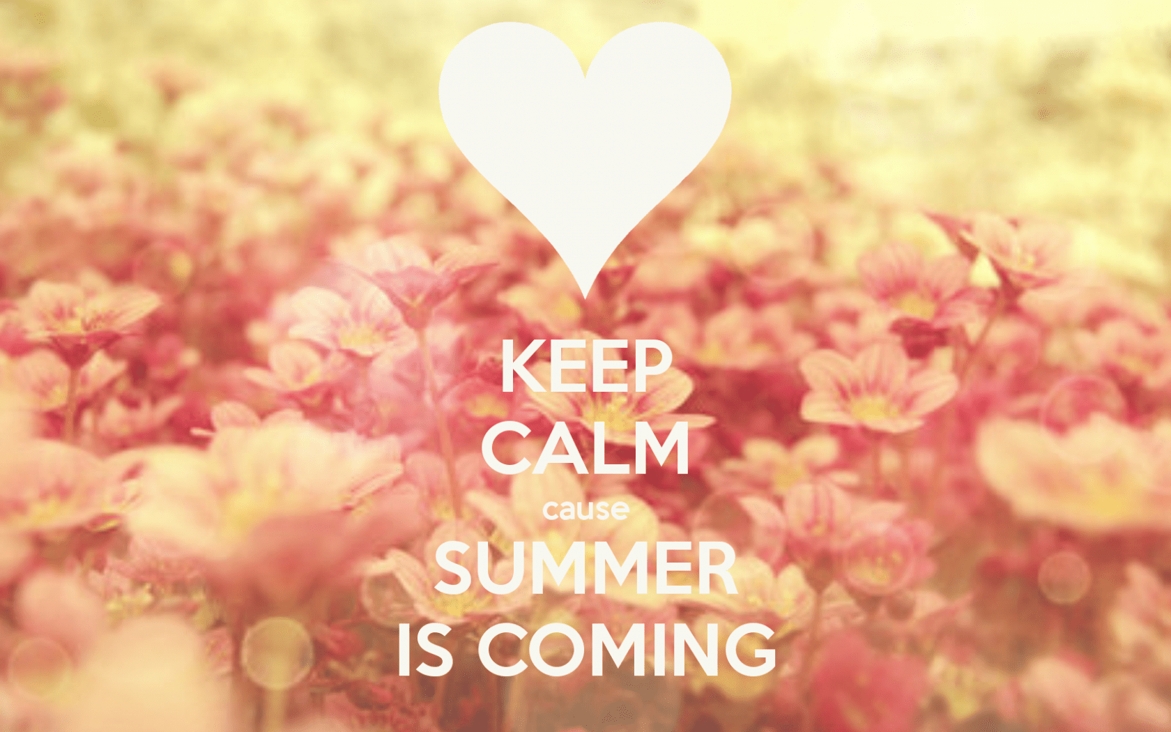 1680x1050 Free download Keep Calm Cause Summer Is Coming Picture Photo and Image for [1920x1080] for your Desktop, Mobile & Tablet. Explore Summer Quotes Wallpaper. Summer Quotes Wallpaper, Wallpaper Summer, Summer Background