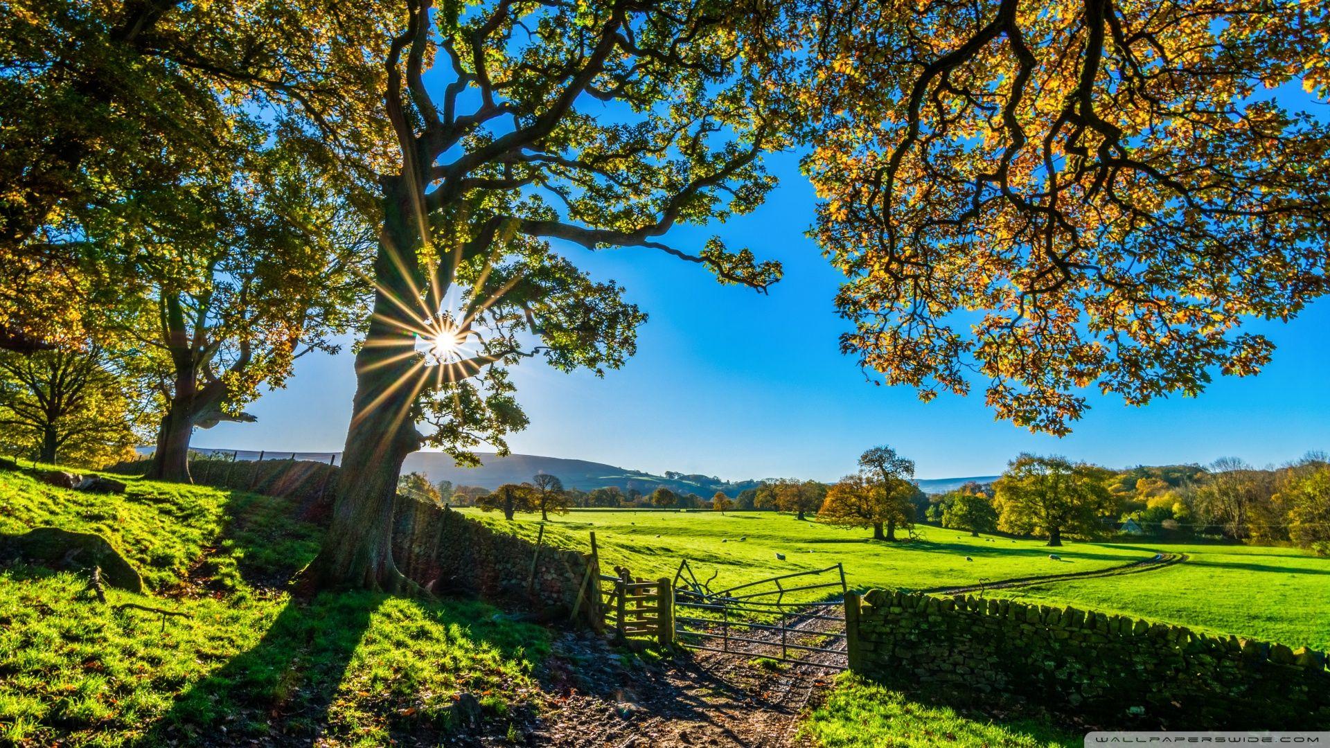 1920x1080 Beautiful England Nature Countryside Scenery Ultra HD Desktop Background Wallpaper for 4K UHD TV : Widescreen & UltraWide Desktop & Laptop : Tablet