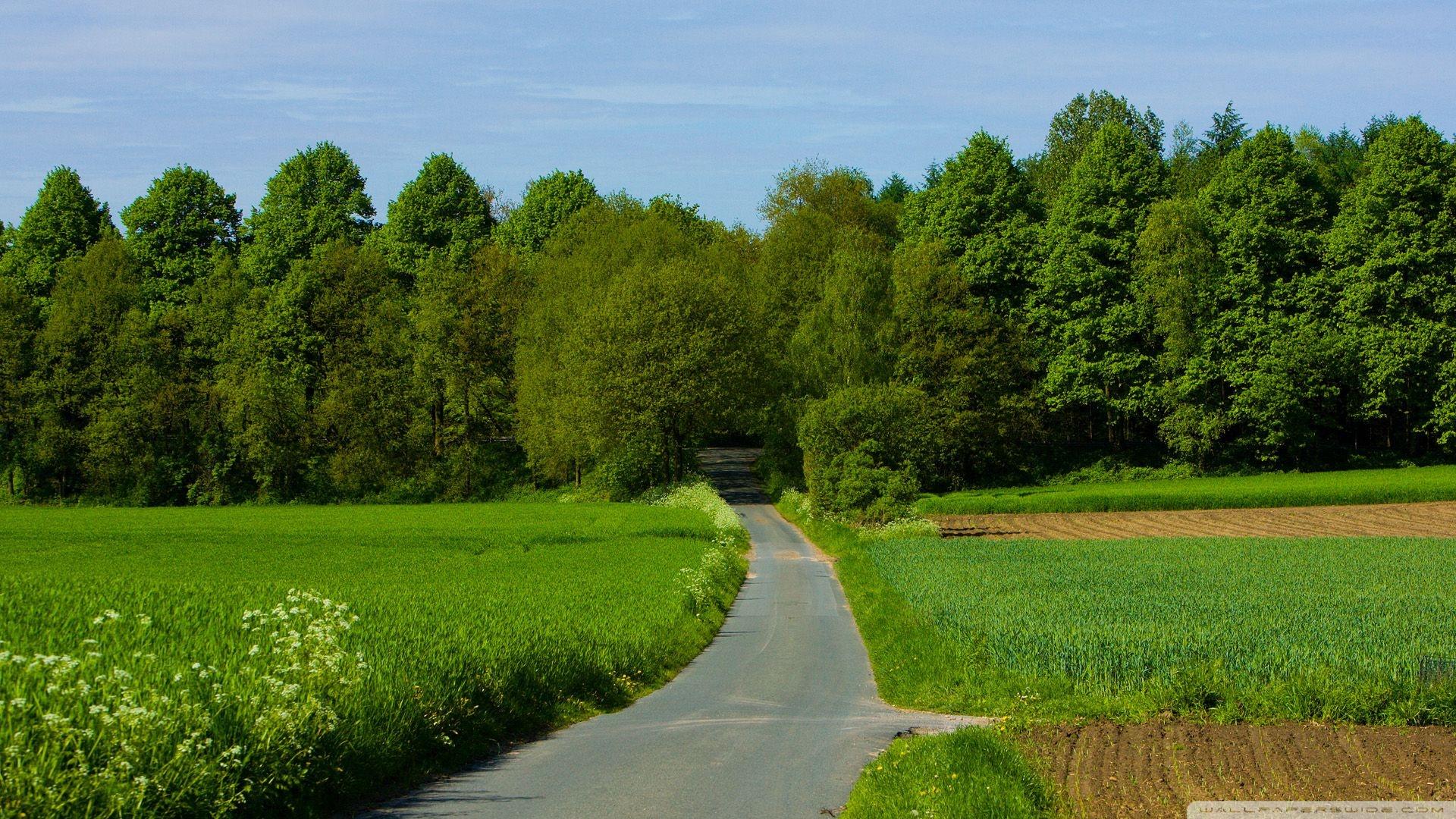 1920x1080 Landscape Nature 17 Wallpaper 1920X1080 Summer, Landscape, Nature, 17