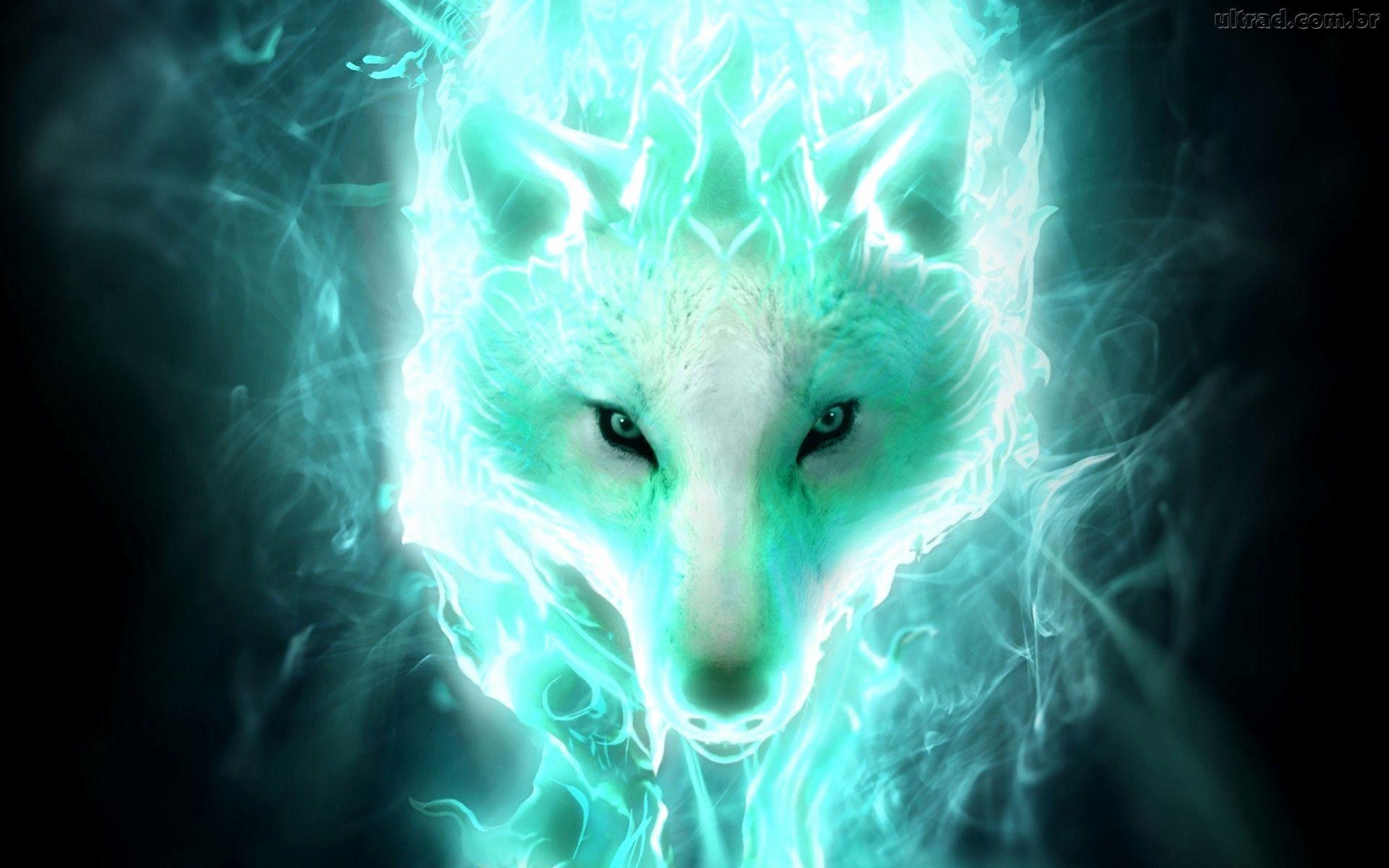 1920x1200 Fire Wolf Background HD Image