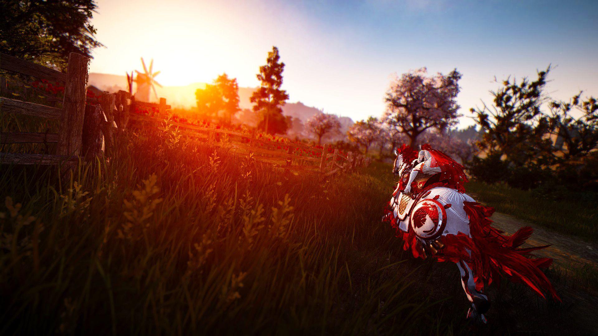 Black Desert Online 4K Wallpapers Top Free Black Desert Online 4K