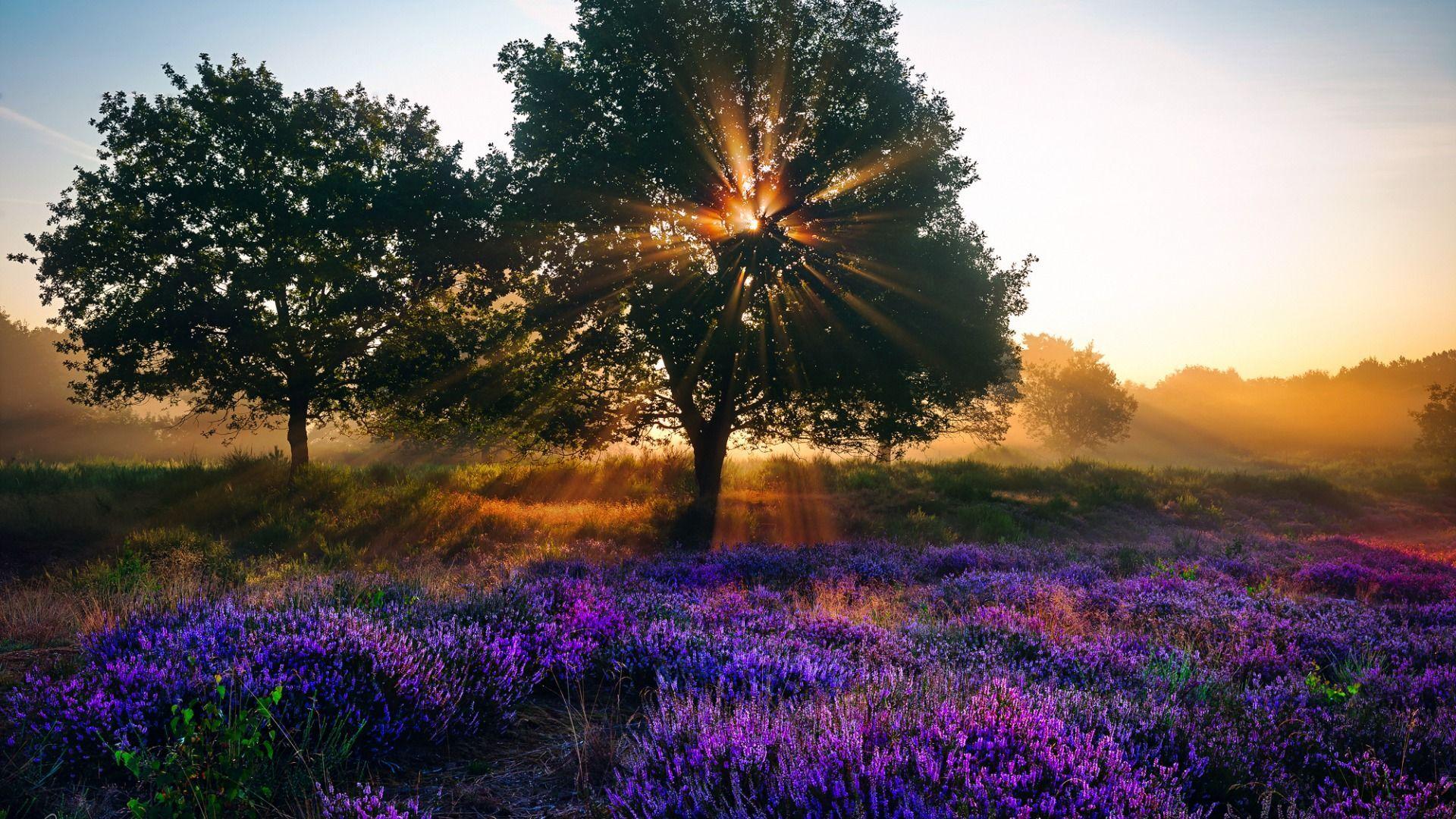 August Summer Wallpapers - Top Free August Summer Backgrounds ...