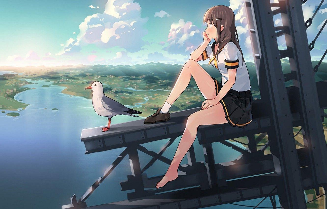 1332x850 Wallpaper girl, landscape, height, Seagull, anime, art, the sky. clouds, ddal image for desktop, section сёдзё