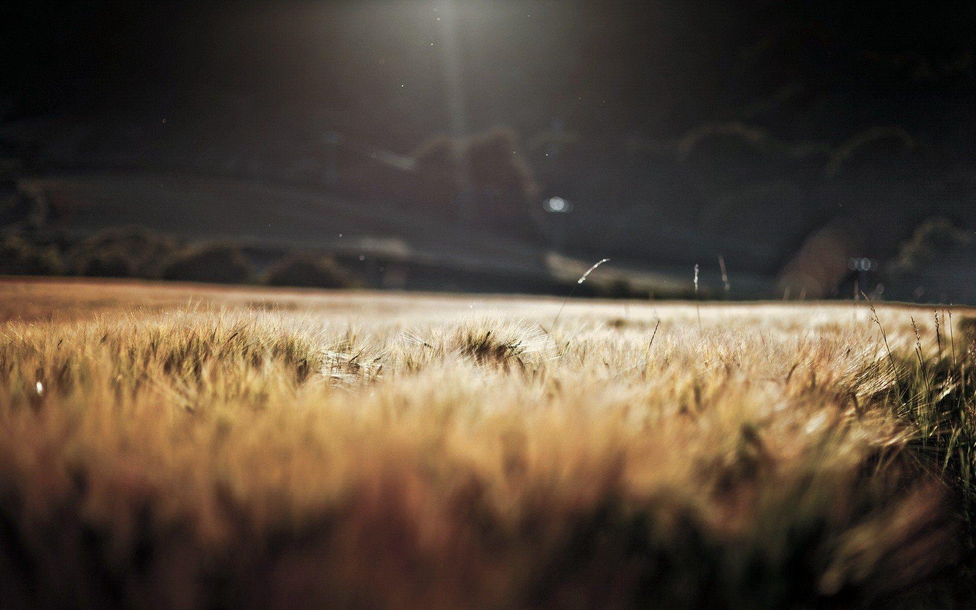 1920x1200 Depth of field
