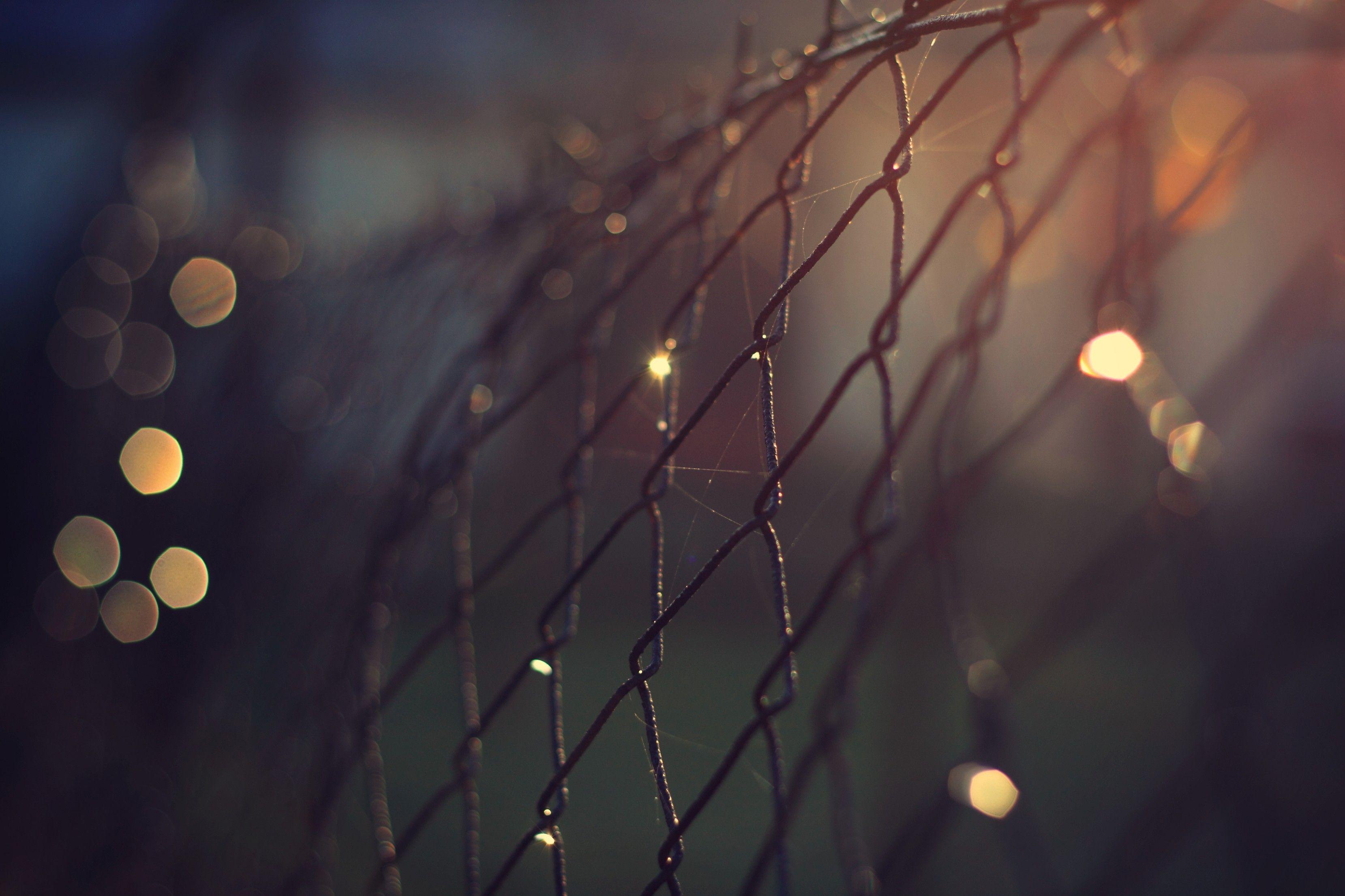 3318x2212 Depth Of Field Wallpaper