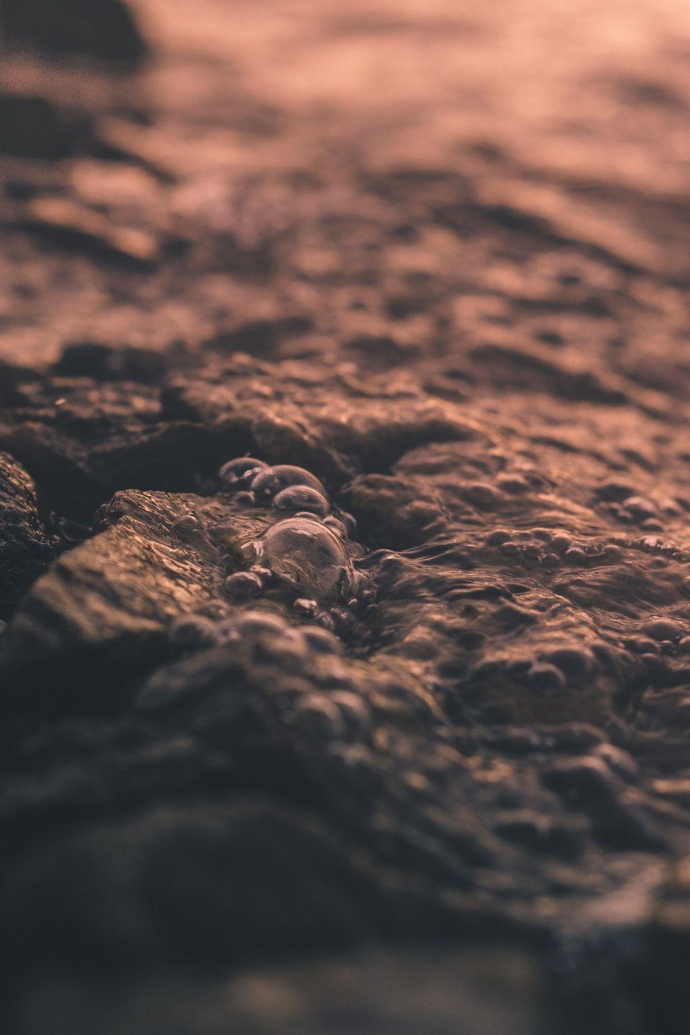 1000x1500 Depth Of Field Picture. Download Free Image