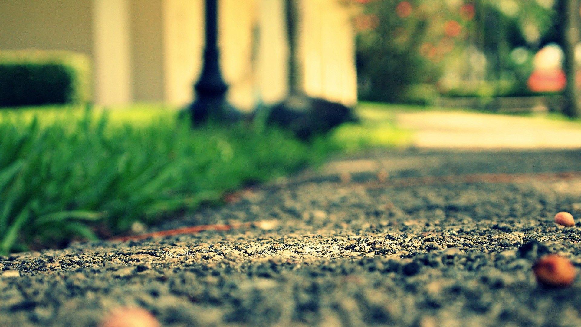 1920x1080 Depth of Field Picture wallpaperx1080