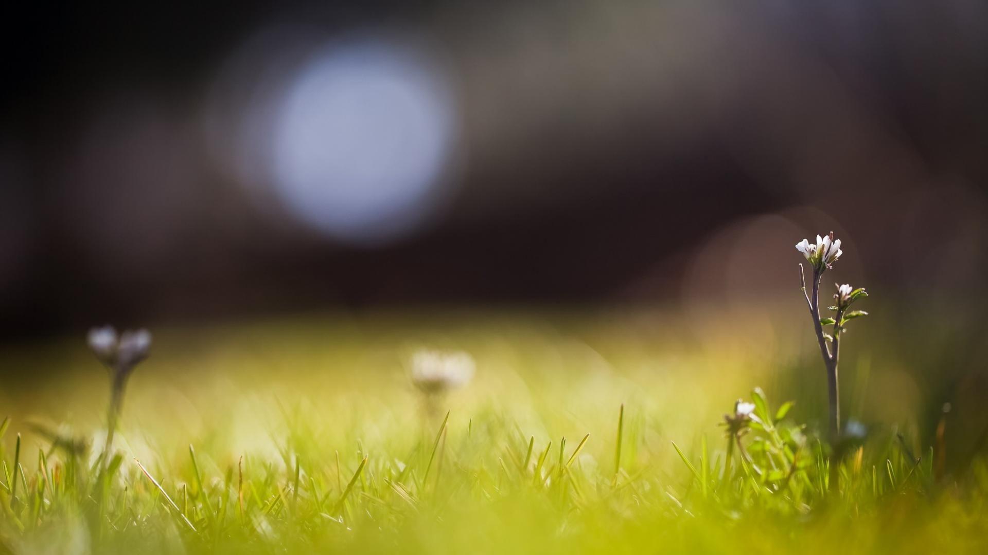 1920x1080 Depth Background. Depth Wallpaper, Depth of Field Background and The Depth Game Wallpaper