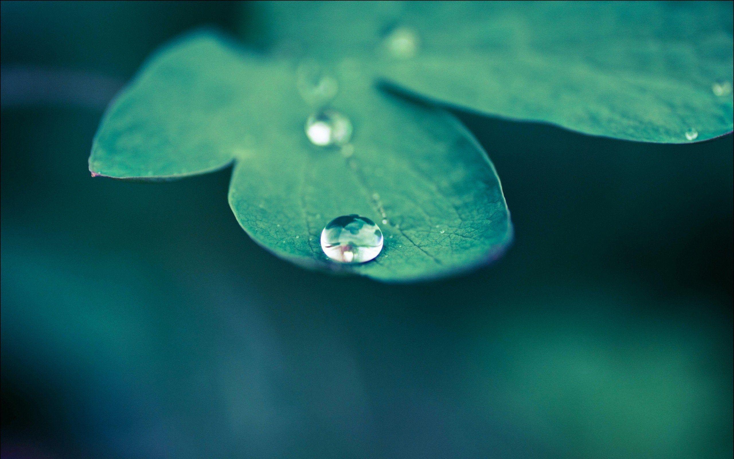 2560x1600 Depth of field [2560×1600]
