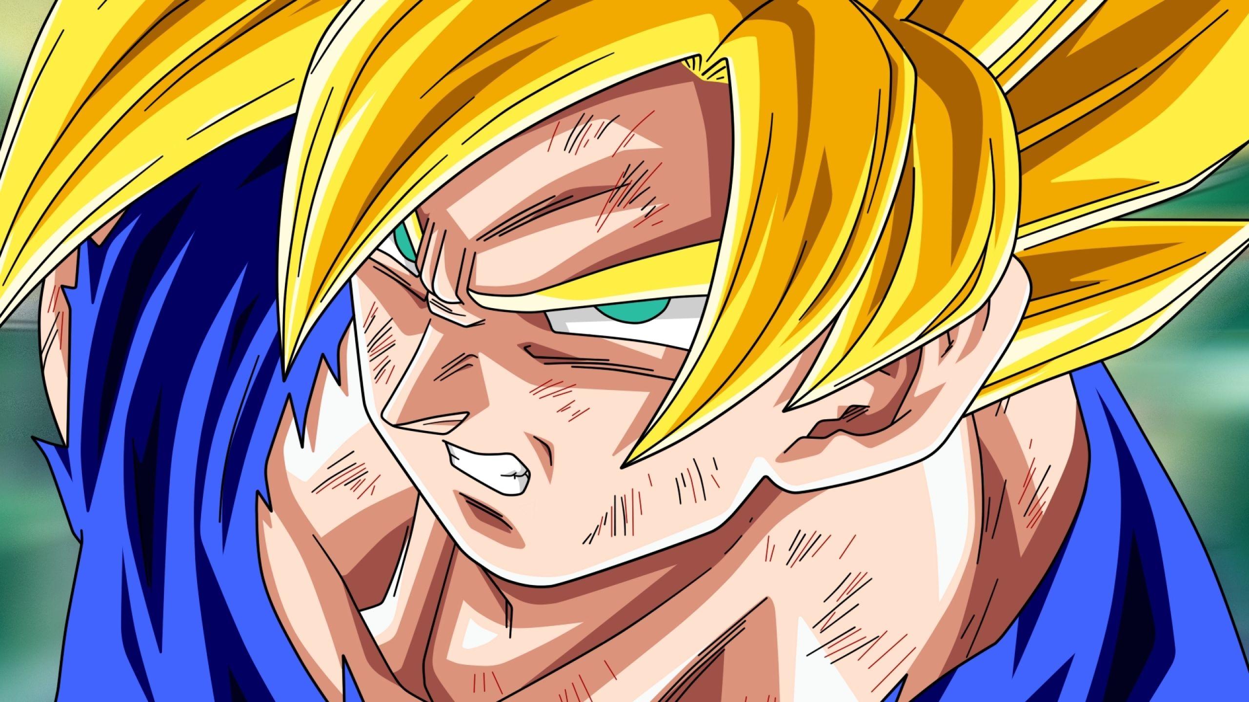 2560x1440 Goku