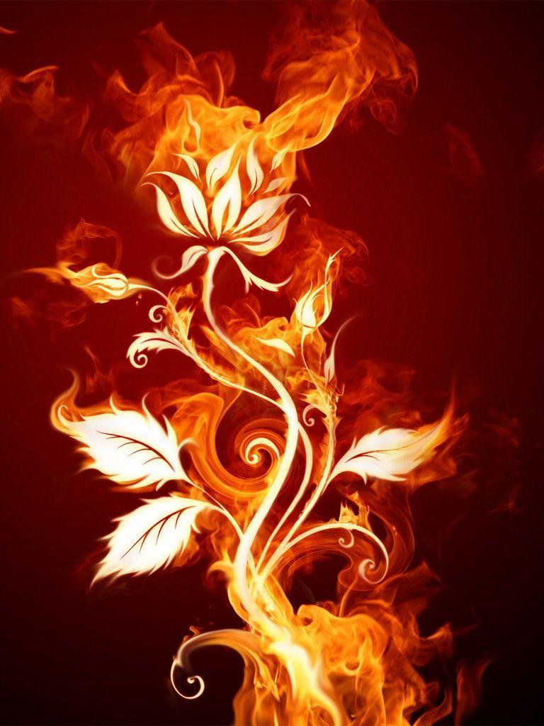 768x1024 Kho ảnh - Burning Fire Rose Flower - iPad Hình Nền HD iPhone Miễn Phí