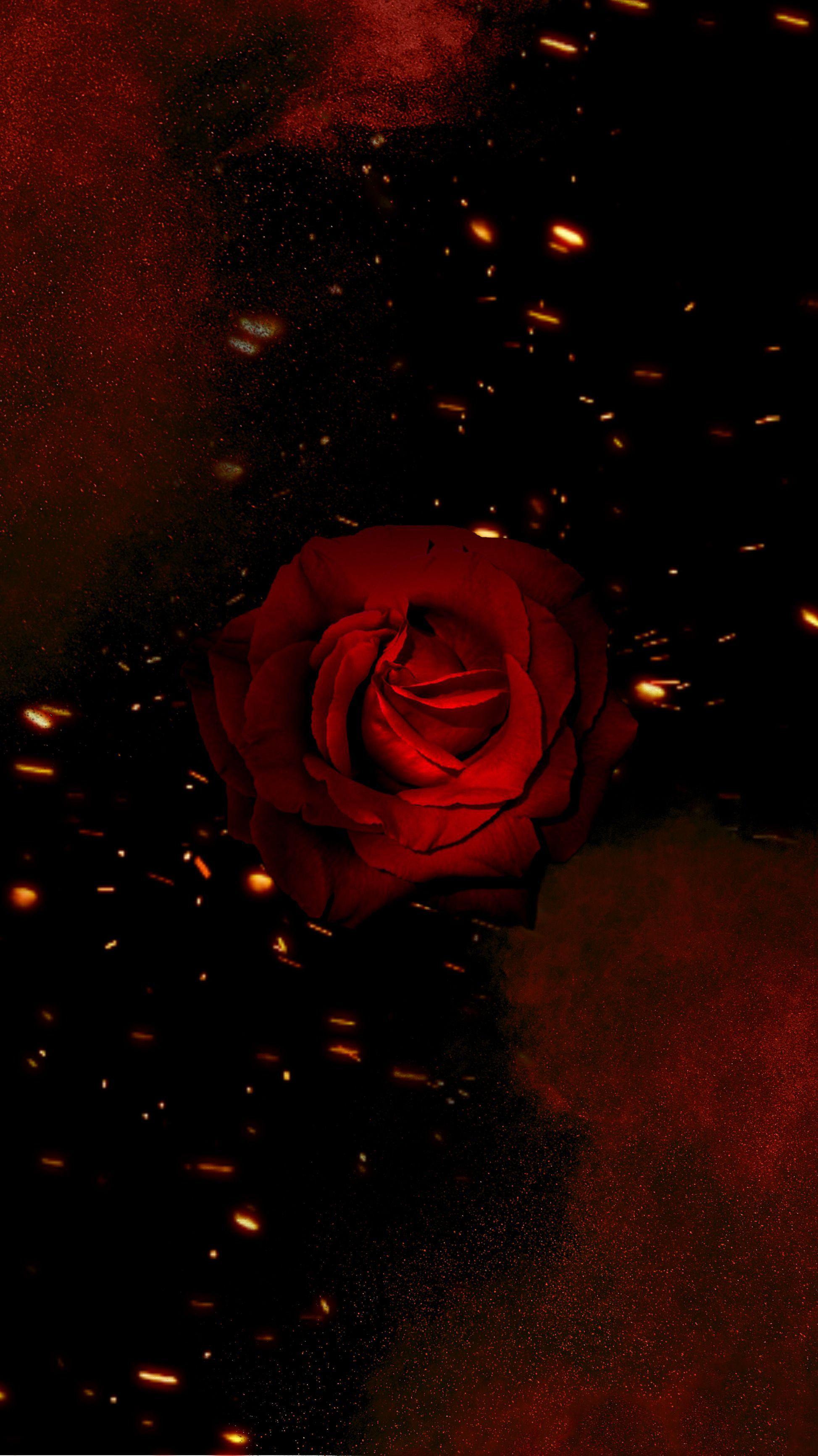 1947x3464 Một bông hồng giữa lửa và bụi.  Nền thẩm mỹ, Hình nền thẩm mỹ màu đen, Hình nền tối