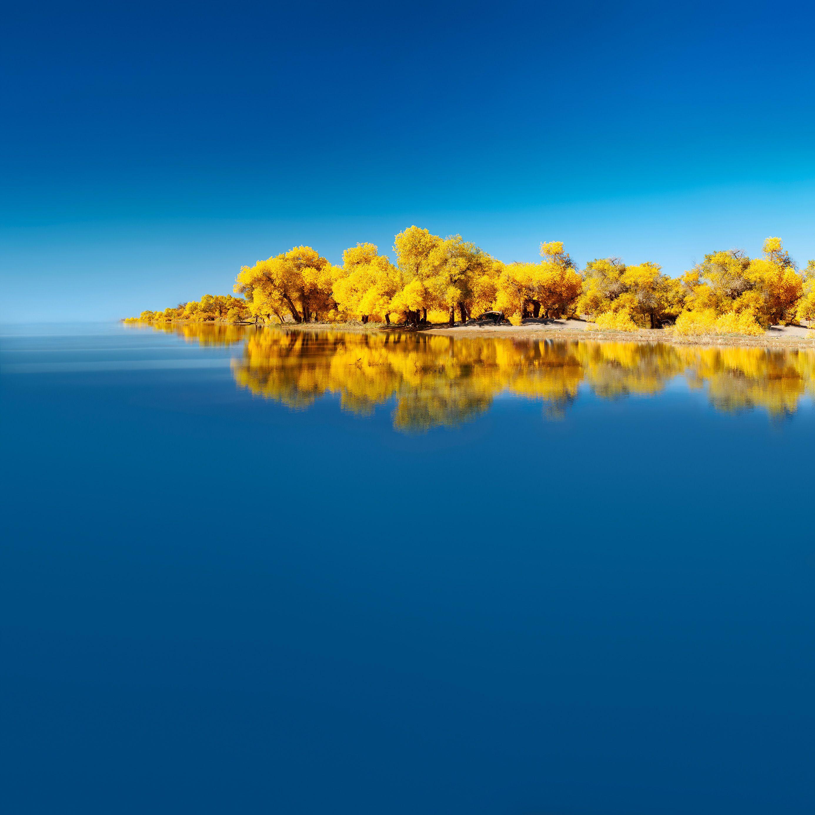 2772x2772 Branded wallpaper for HUAWEI Mate 40 are already available for download