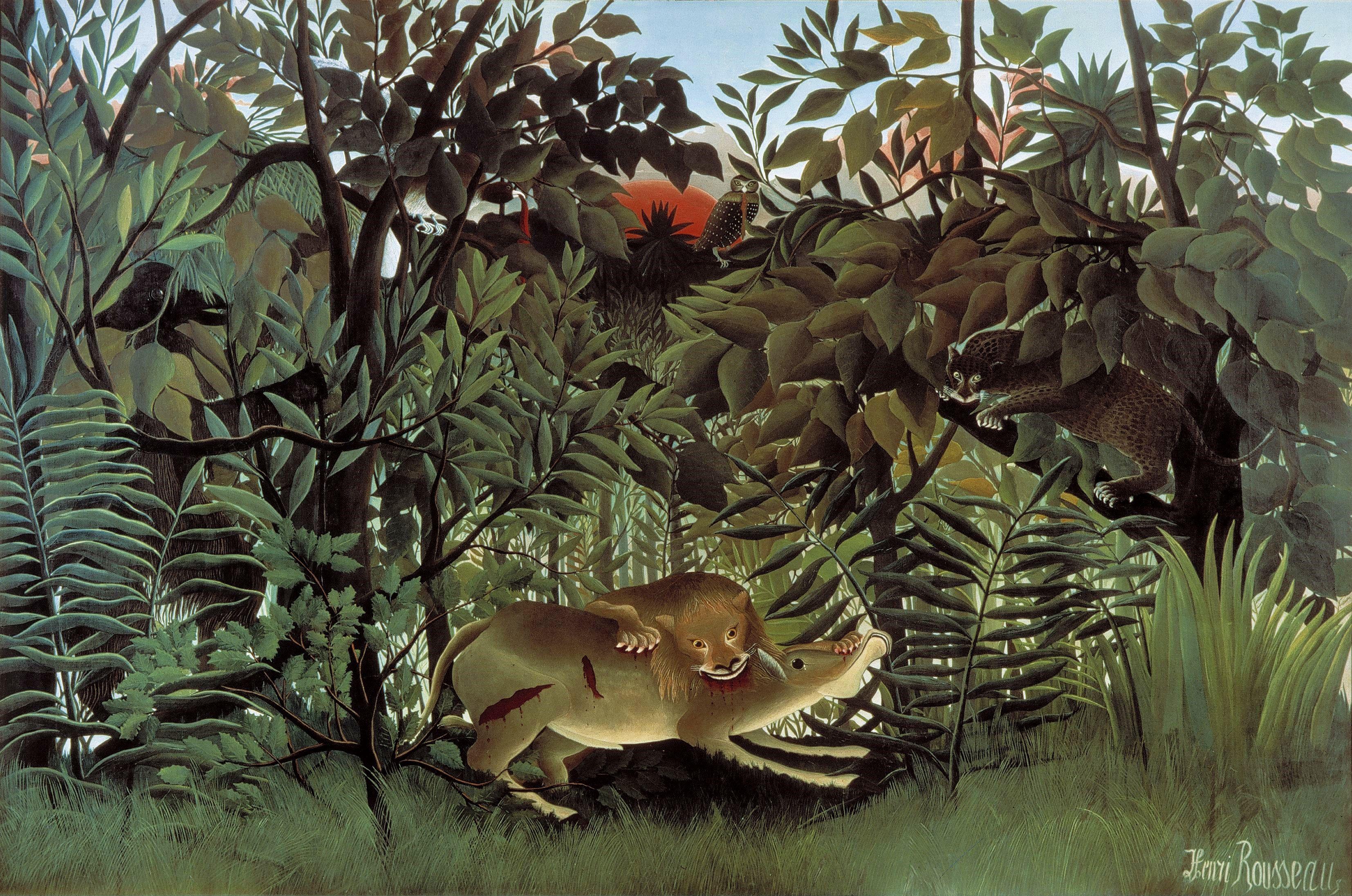 3307x2193 The Hungry Lion Throws Itself on the Antelope