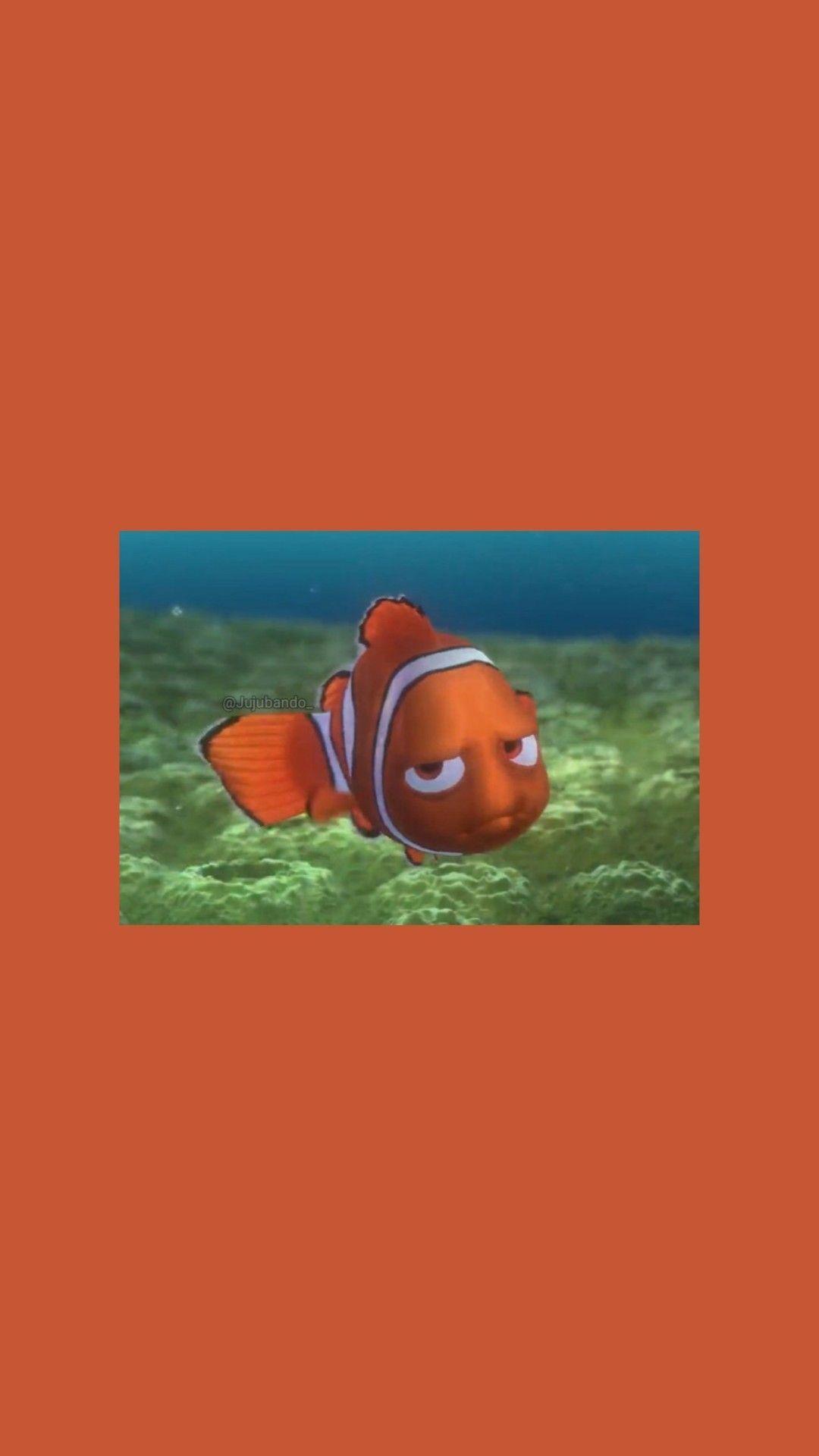 Nemo Disney Quote iPhone Wallpapers - Top Free Nemo Disney Quote iPhone  Backgrounds - WallpaperAccess