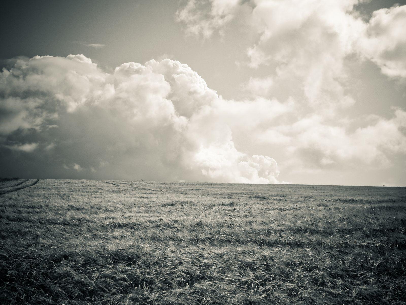 Gray Sky Wallpapers Top Free Gray Sky Backgrounds WallpaperAccess