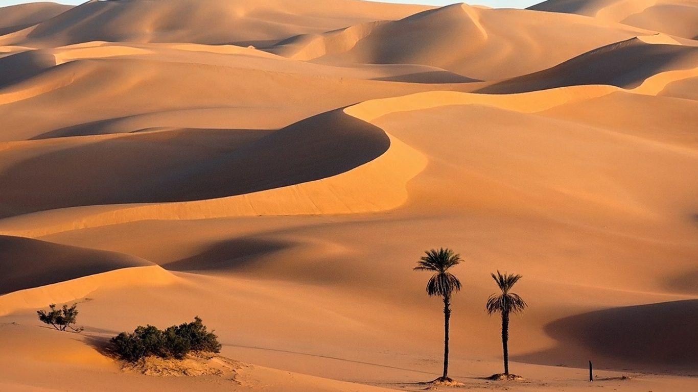 1366x768 Gobi China Oasis Desert Nature Middle Wallpaper Free Download