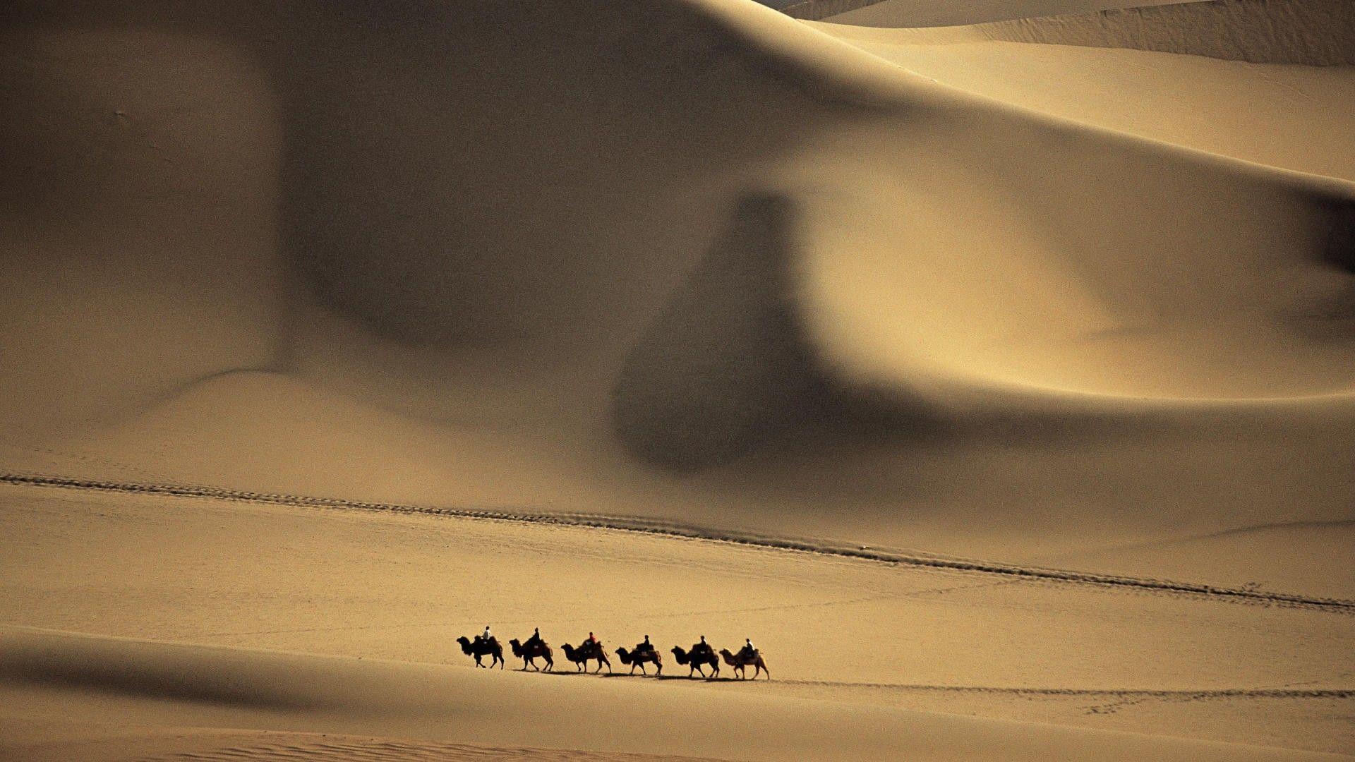 1920x1080 Deserts China Desert Dunes Camels Caravan Camel Taklimakan Beautiful