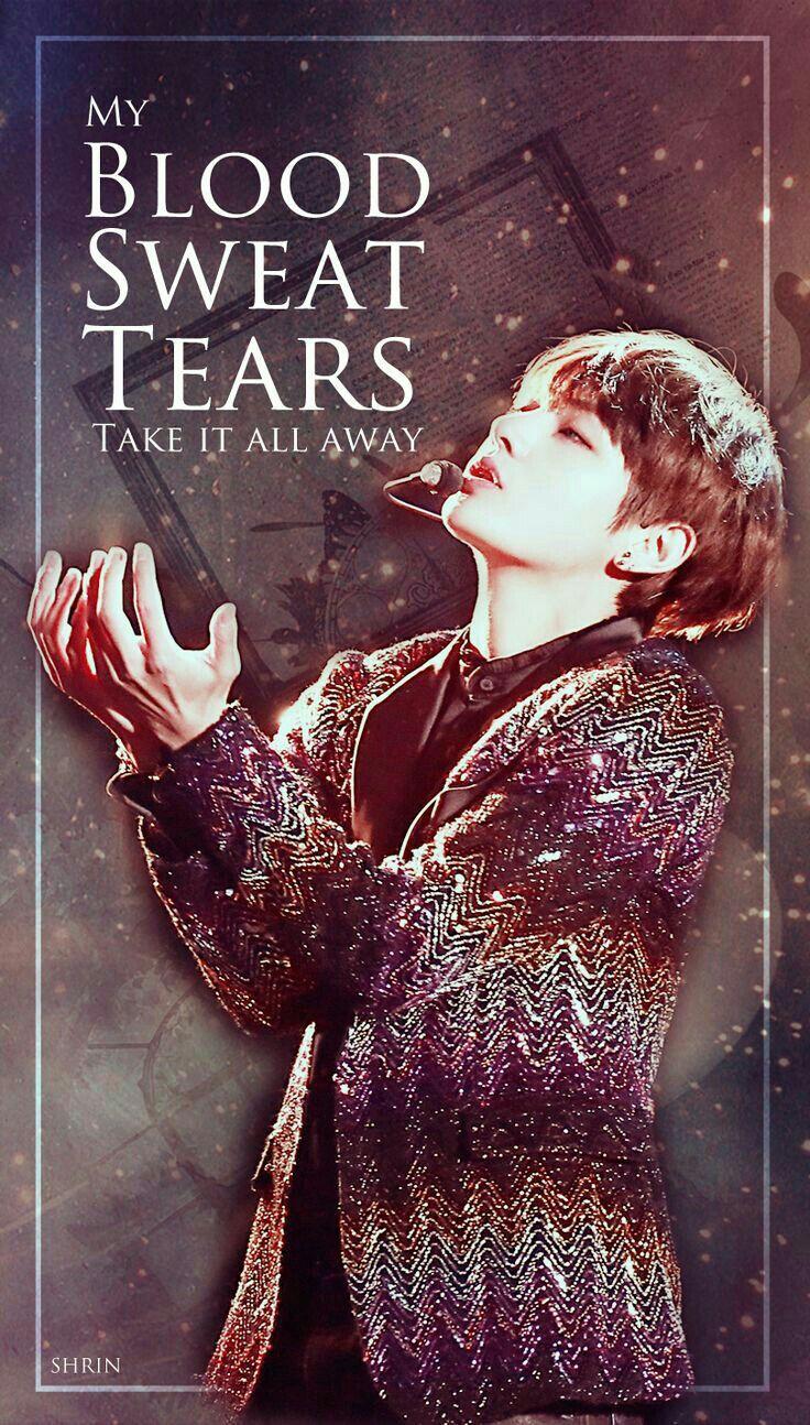 736x1294 Bts Blood Sweat And Tears Lyrics Wallpaper